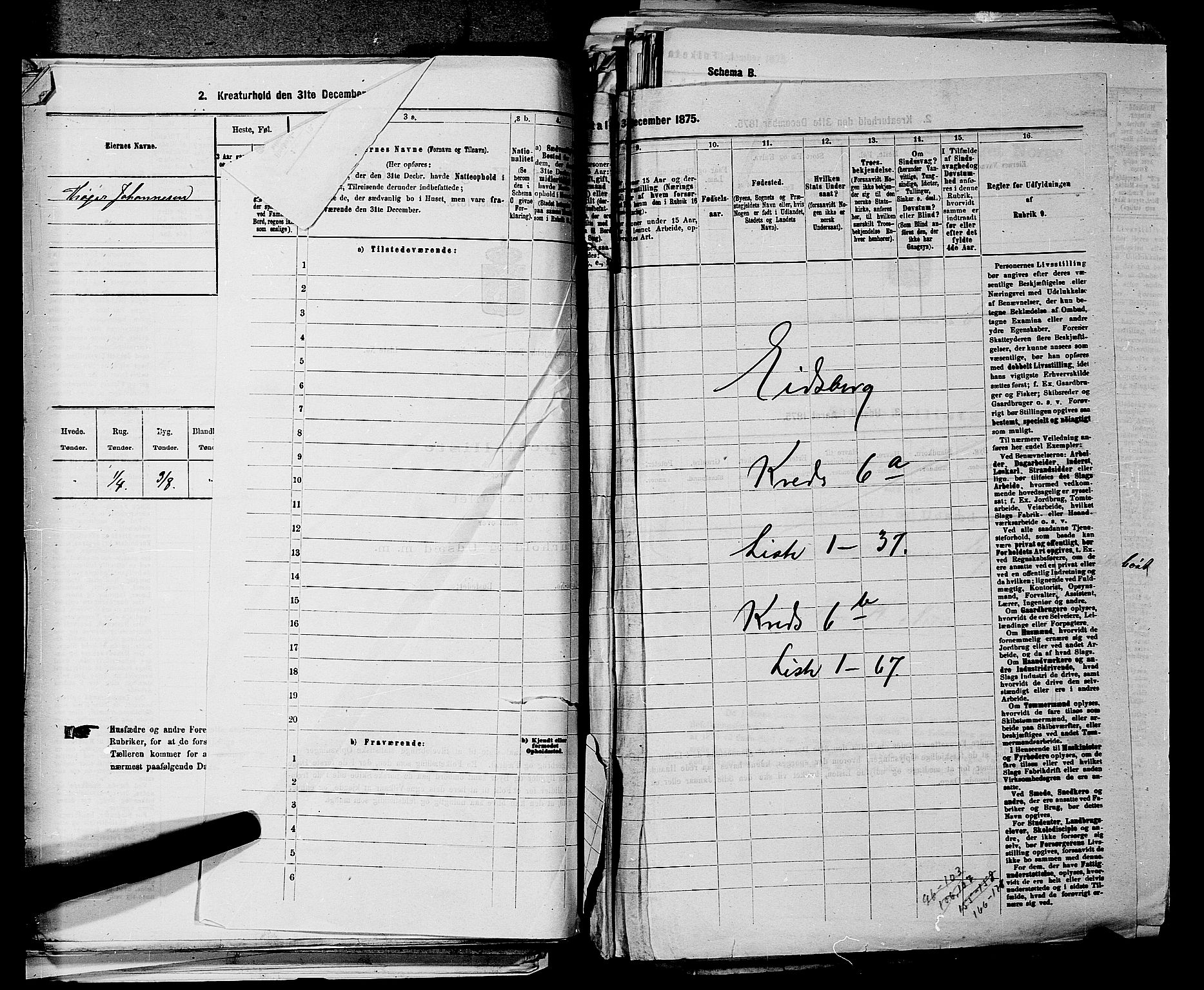 RA, 1875 census for 0125P Eidsberg, 1875, p. 1129