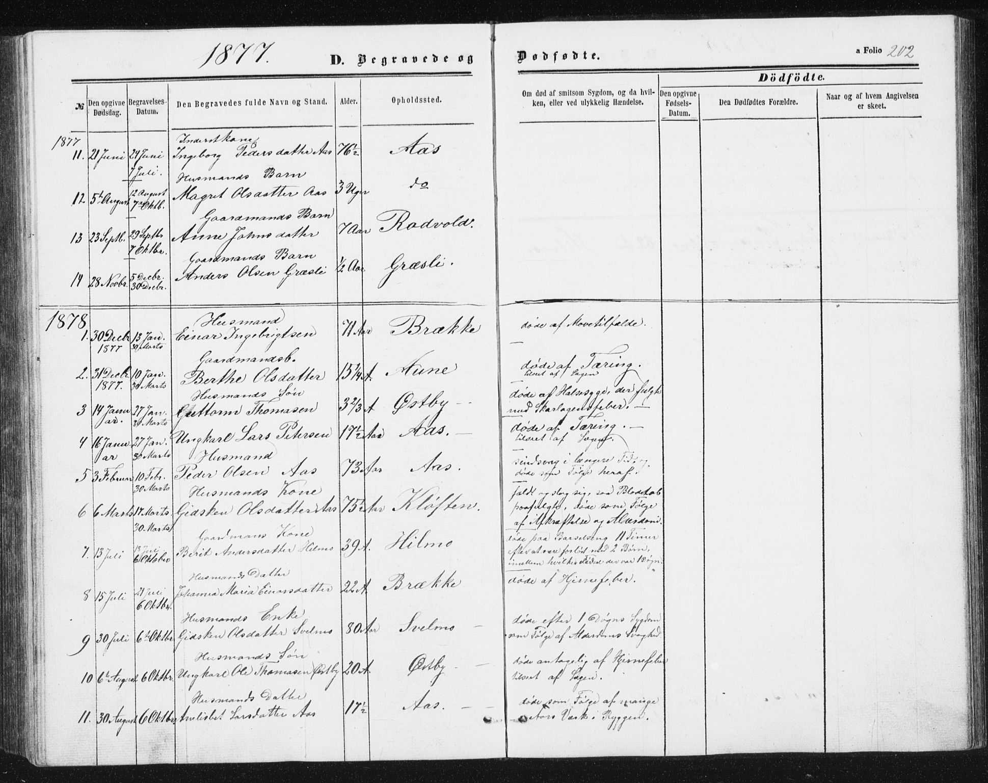 Ministerialprotokoller, klokkerbøker og fødselsregistre - Sør-Trøndelag, SAT/A-1456/698/L1166: Parish register (copy) no. 698C03, 1861-1887, p. 202
