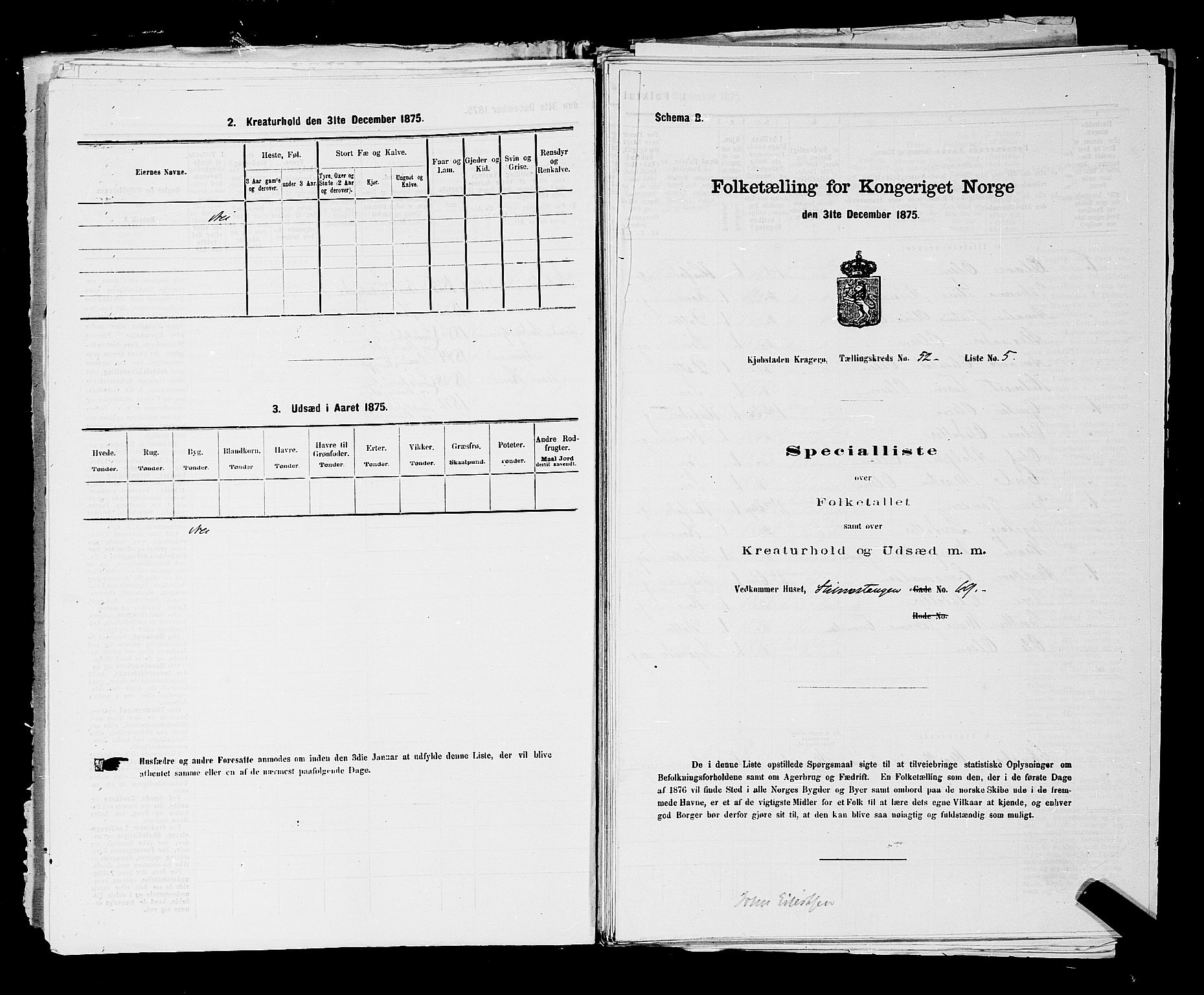 SAKO, 1875 census for 0801P Kragerø, 1875, p. 1152