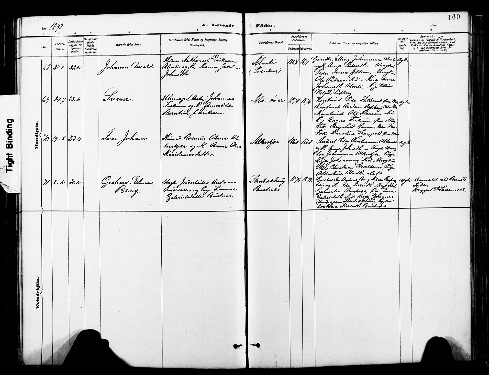 Ministerialprotokoller, klokkerbøker og fødselsregistre - Nordland, AV/SAT-A-1459/827/L0421: Parish register (copy) no. 827C10, 1887-1906, p. 160