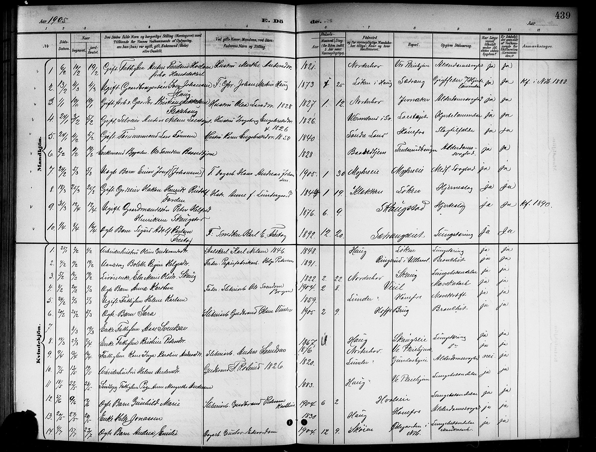 Norderhov kirkebøker, AV/SAKO-A-237/G/Gb/L0002: Parish register (copy) no. II 2, 1891-1921, p. 439