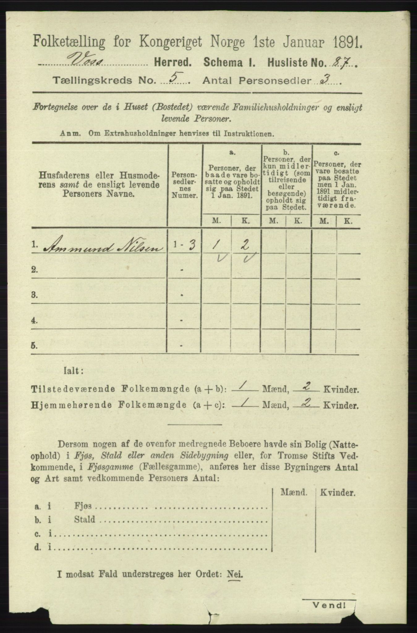 RA, 1891 census for 1235 Voss, 1891, p. 2699