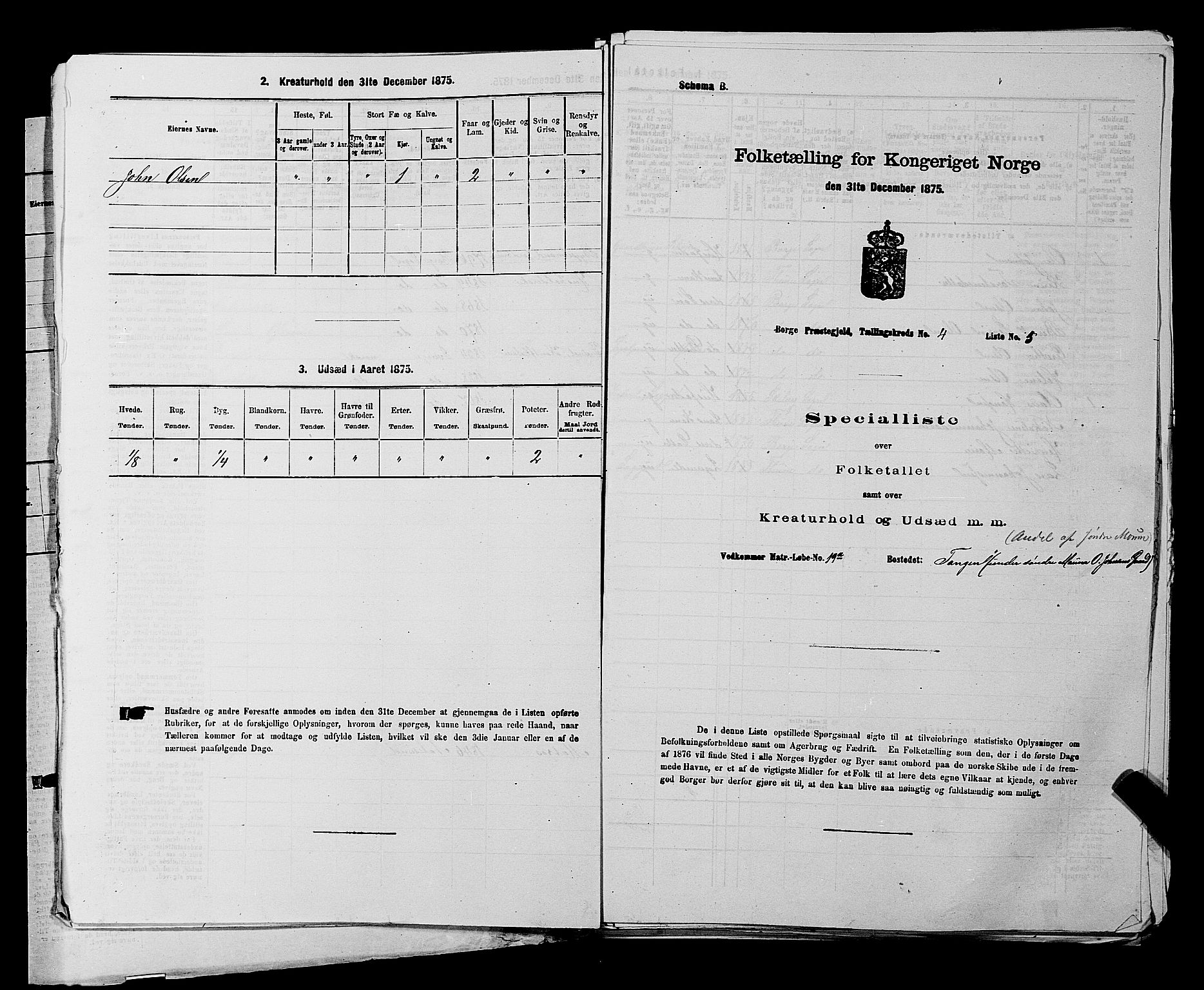 RA, 1875 census for 0113P Borge, 1875, p. 525