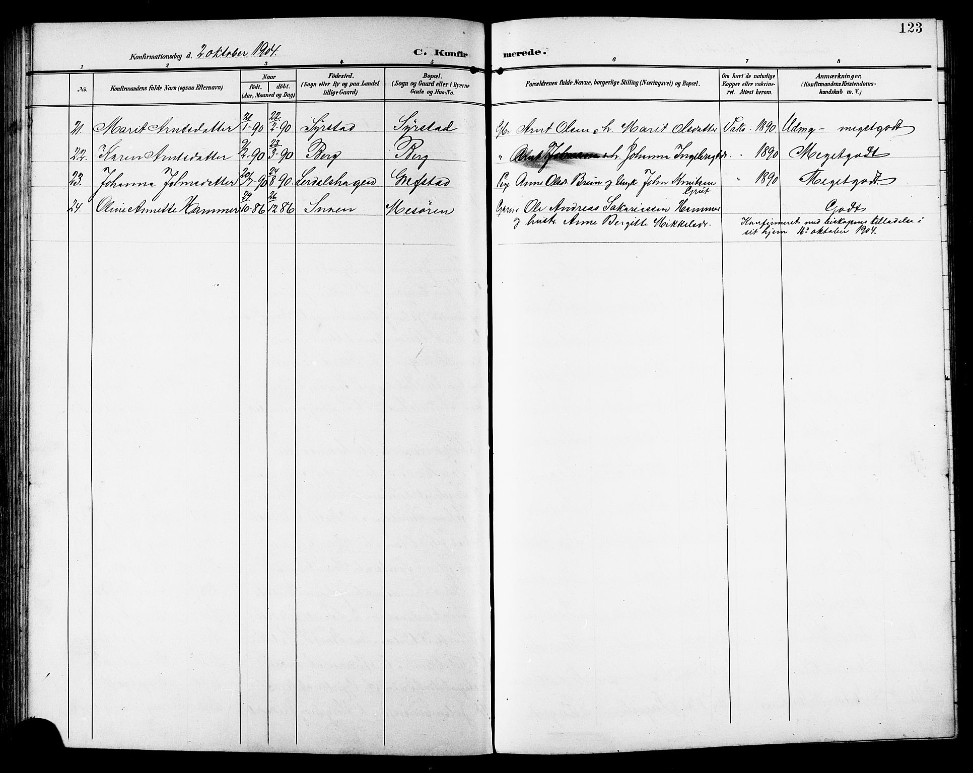 Ministerialprotokoller, klokkerbøker og fødselsregistre - Sør-Trøndelag, AV/SAT-A-1456/672/L0864: Parish register (copy) no. 672C03, 1902-1914, p. 123