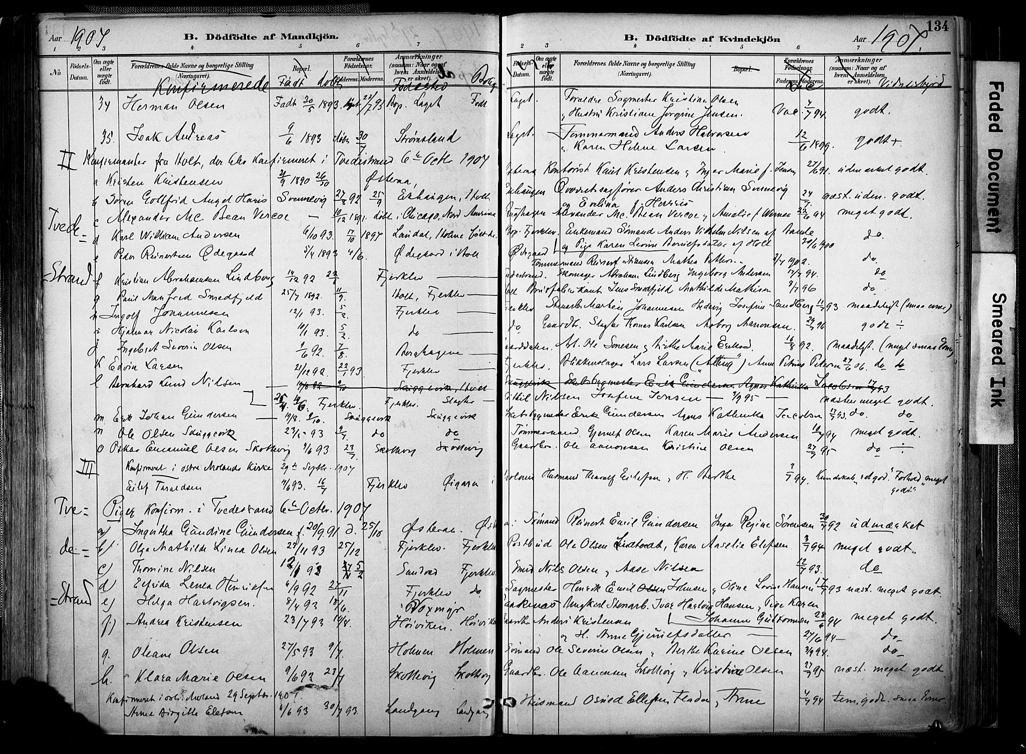 Holt sokneprestkontor, AV/SAK-1111-0021/F/Fa/L0012: Parish register (official) no. A 12, 1885-1907, p. 134