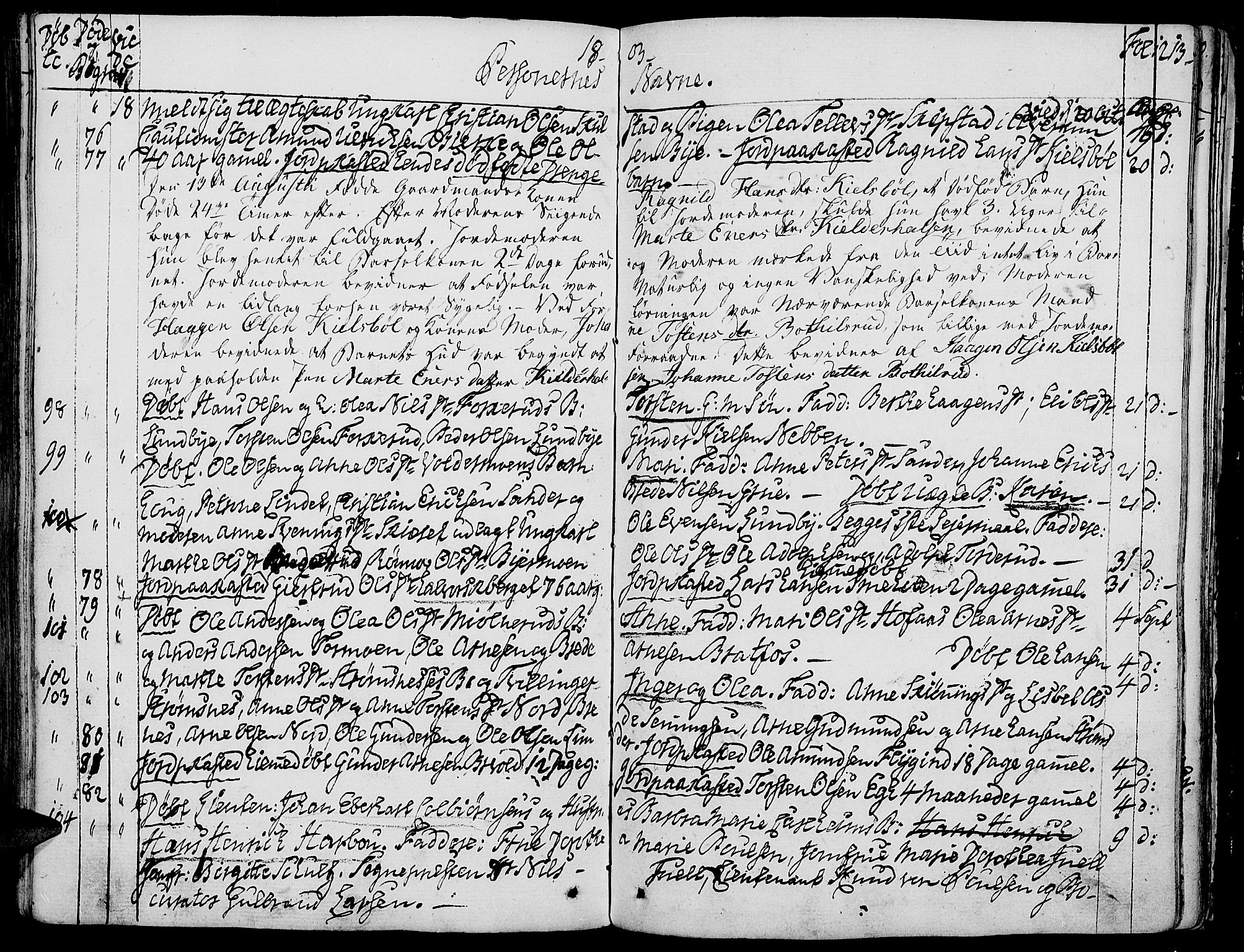 Grue prestekontor, AV/SAH-PREST-036/H/Ha/Haa/L0004: Parish register (official) no. 4, 1792-1805, p. 213