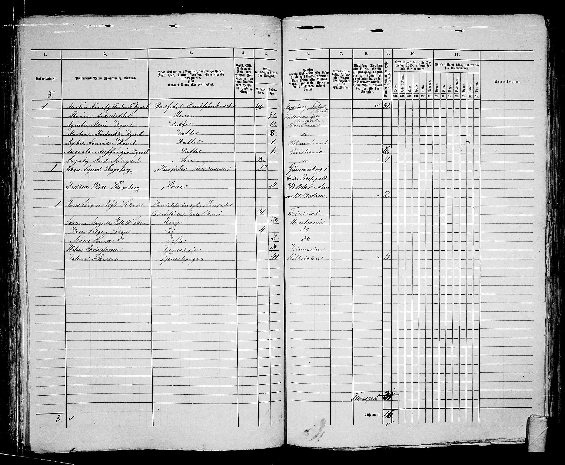 RA, 1865 census for Kristiania, 1865, p. 2045