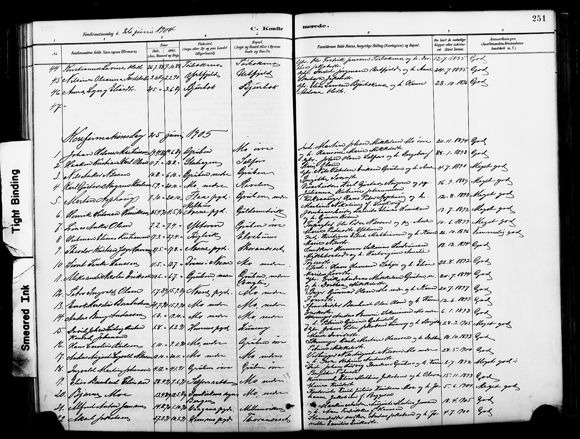 Ministerialprotokoller, klokkerbøker og fødselsregistre - Nordland, SAT/A-1459/827/L0421: Parish register (copy) no. 827C10, 1887-1906, p. 251