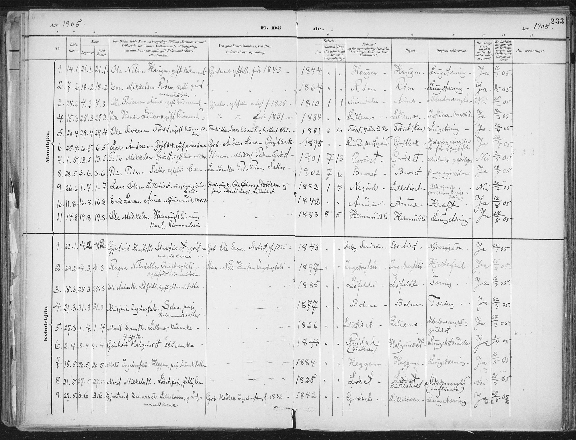 Ministerialprotokoller, klokkerbøker og fødselsregistre - Møre og Romsdal, SAT/A-1454/598/L1072: Parish register (official) no. 598A06, 1896-1910, p. 233