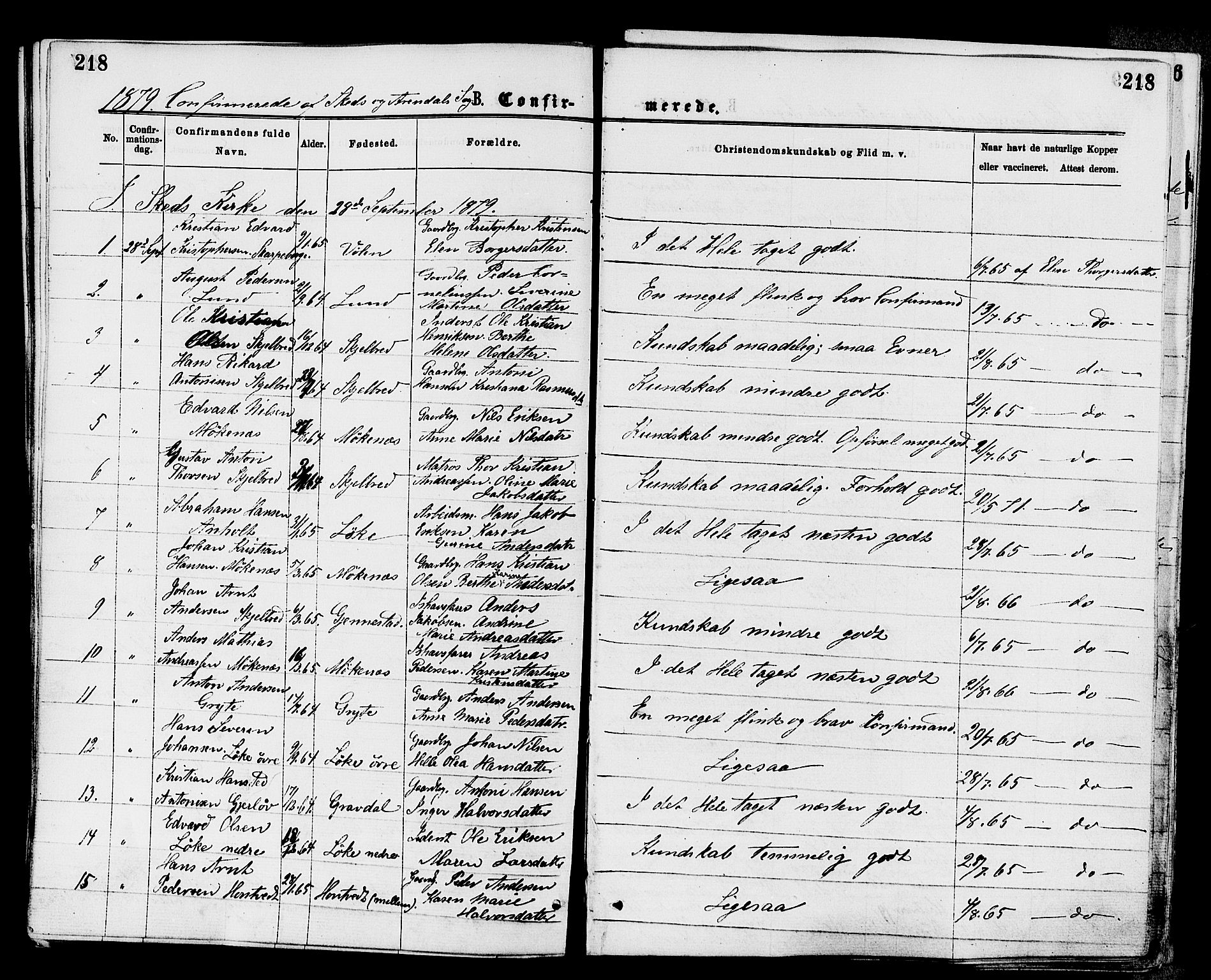 Stokke kirkebøker, AV/SAKO-A-320/F/Fa/L0009: Parish register (official) no. I 9, 1872-1883, p. 218