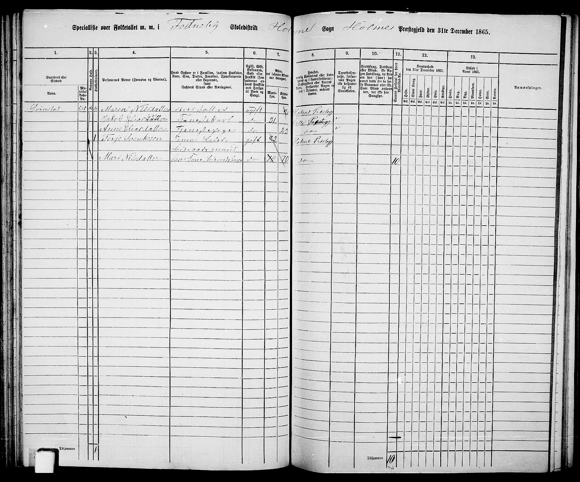 RA, 1865 census for Holum, 1865, p. 66