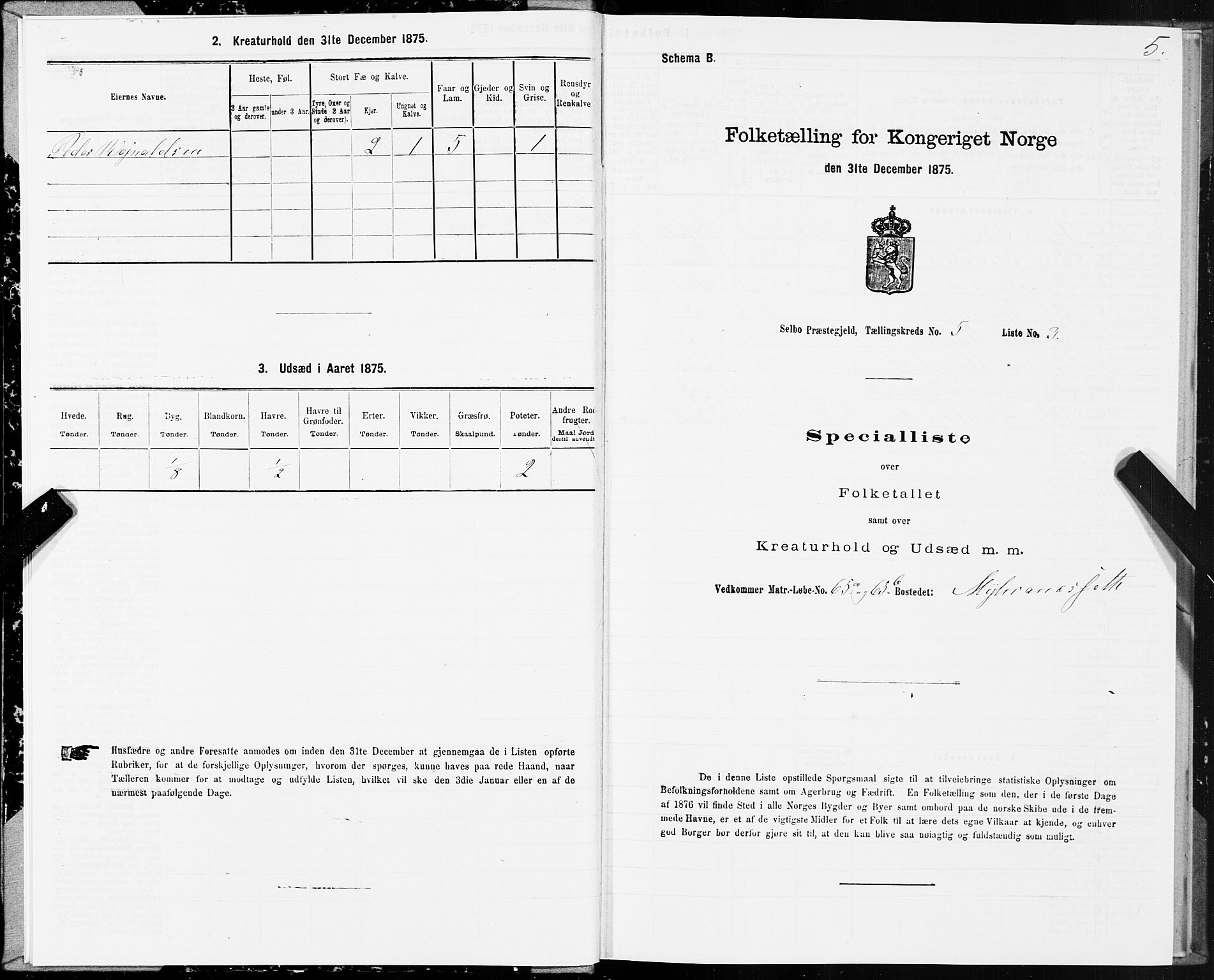 SAT, 1875 census for 1664P Selbu, 1875, p. 3005