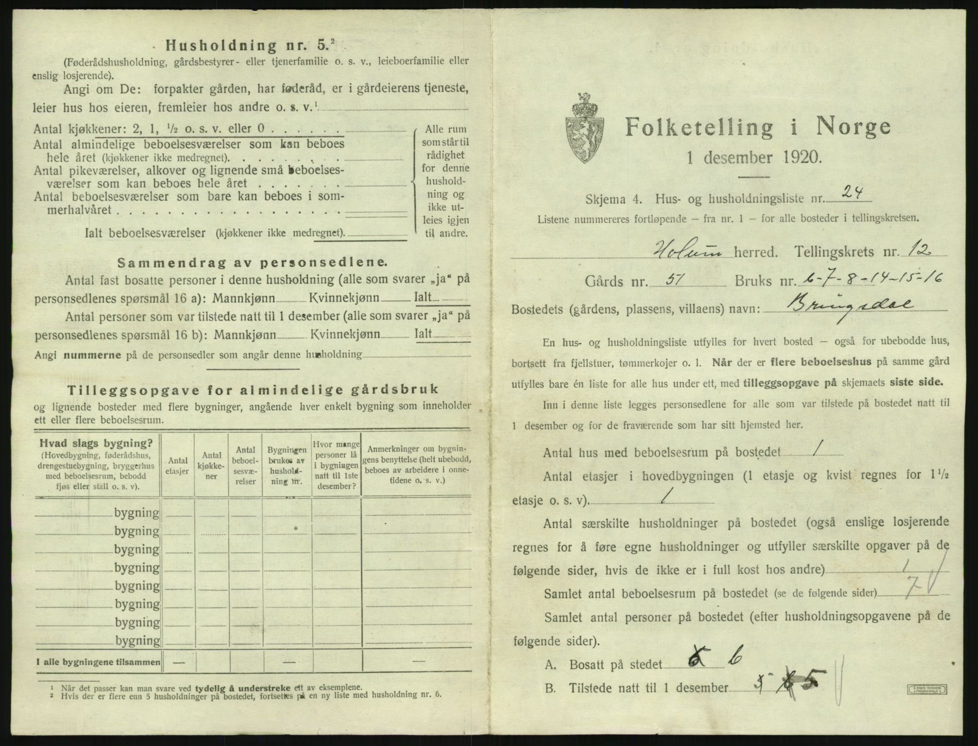 SAK, 1920 census for Holum, 1920, p. 711