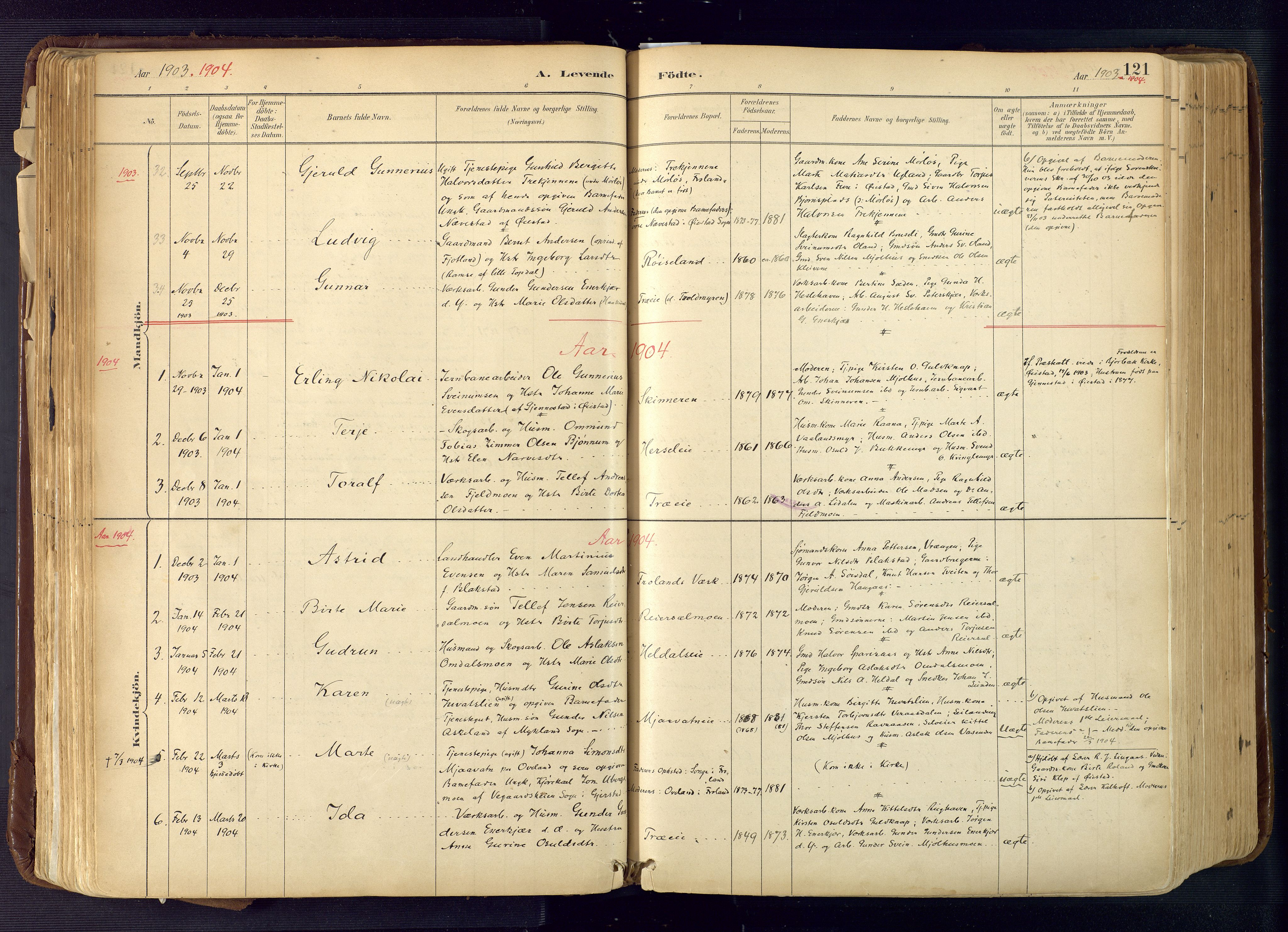 Froland sokneprestkontor, SAK/1111-0013/F/Fa/L0005: Parish register (official) no. A 5, 1882-1921, p. 121