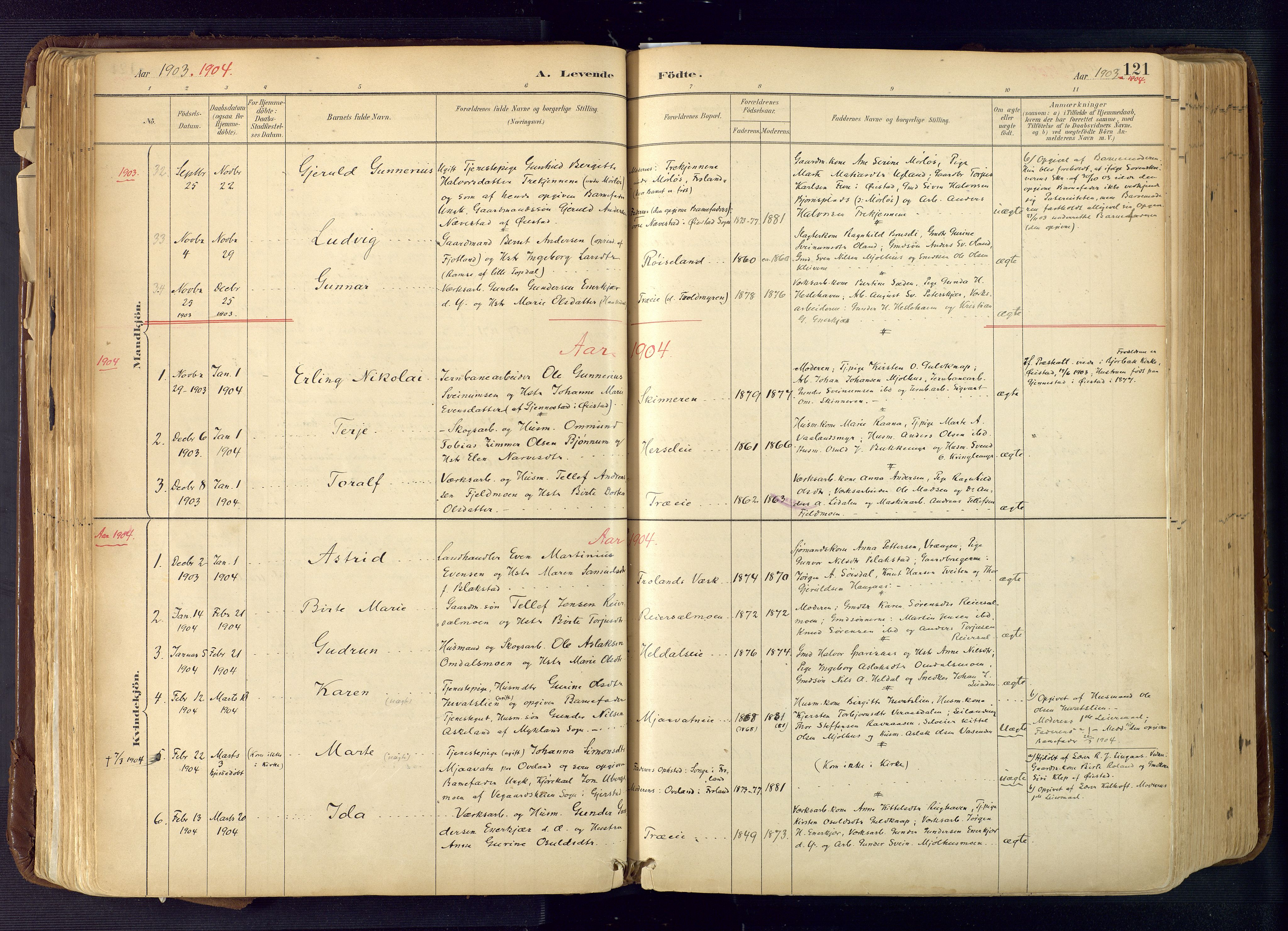 Froland sokneprestkontor, AV/SAK-1111-0013/F/Fa/L0005: Parish register (official) no. A 5, 1882-1921, p. 121