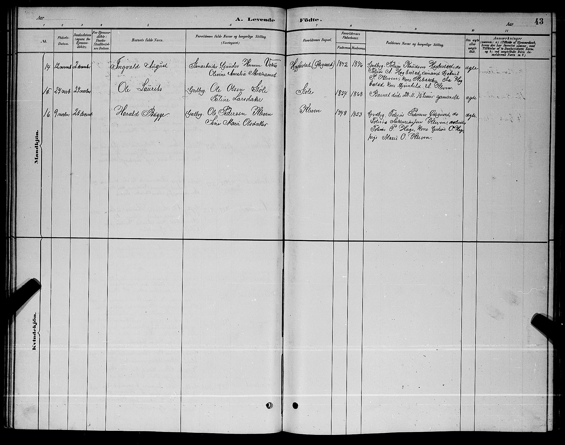 Nord-Audnedal sokneprestkontor, AV/SAK-1111-0032/F/Fb/Fbb/L0003: Parish register (copy) no. B 3, 1882-1900, p. 43