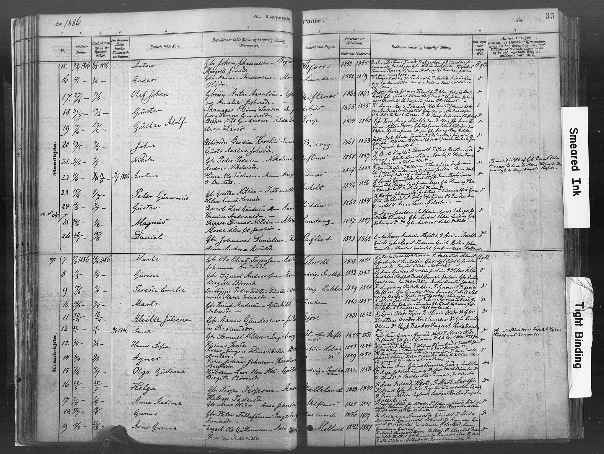 Hommedal sokneprestkontor, SAK/1111-0023/F/Fa/Fab/L0006: Parish register (official) no. A 6, 1878-1897, p. 35
