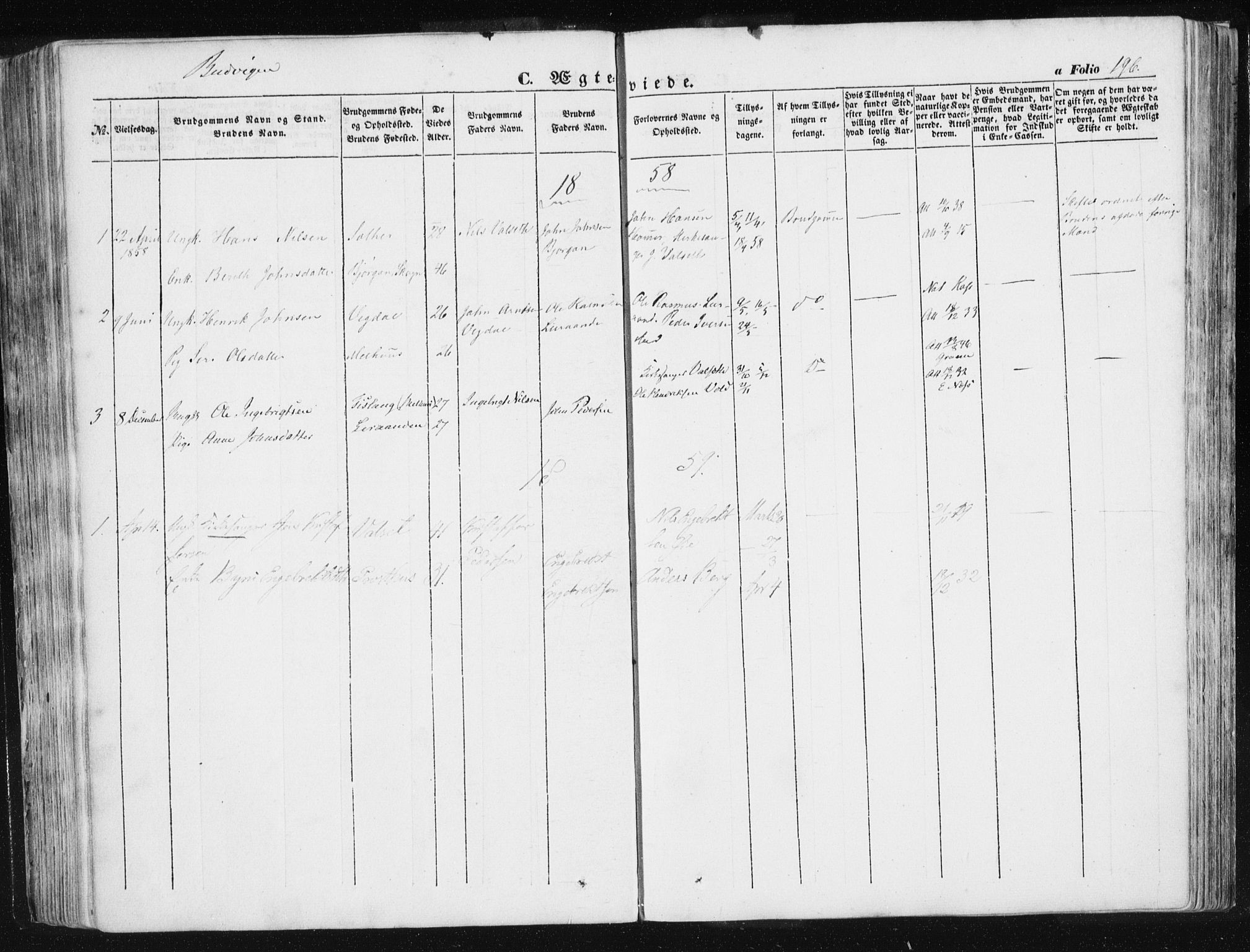 Ministerialprotokoller, klokkerbøker og fødselsregistre - Sør-Trøndelag, SAT/A-1456/612/L0376: Parish register (official) no. 612A08, 1846-1859, p. 196