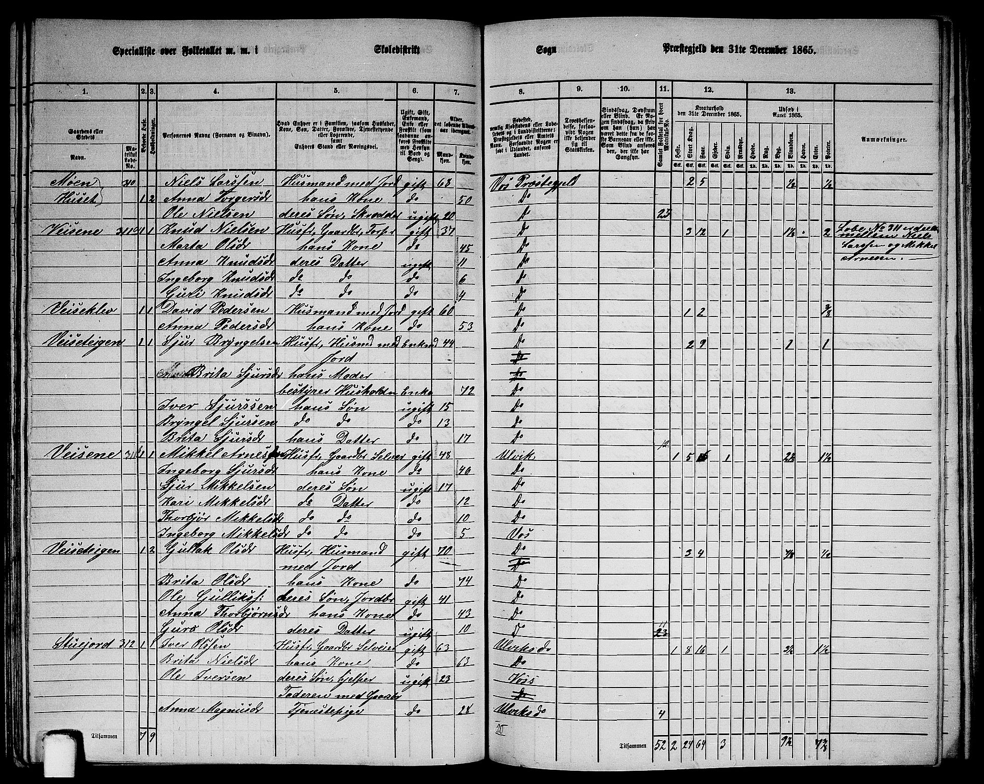 RA, 1865 census for Voss, 1865, p. 133