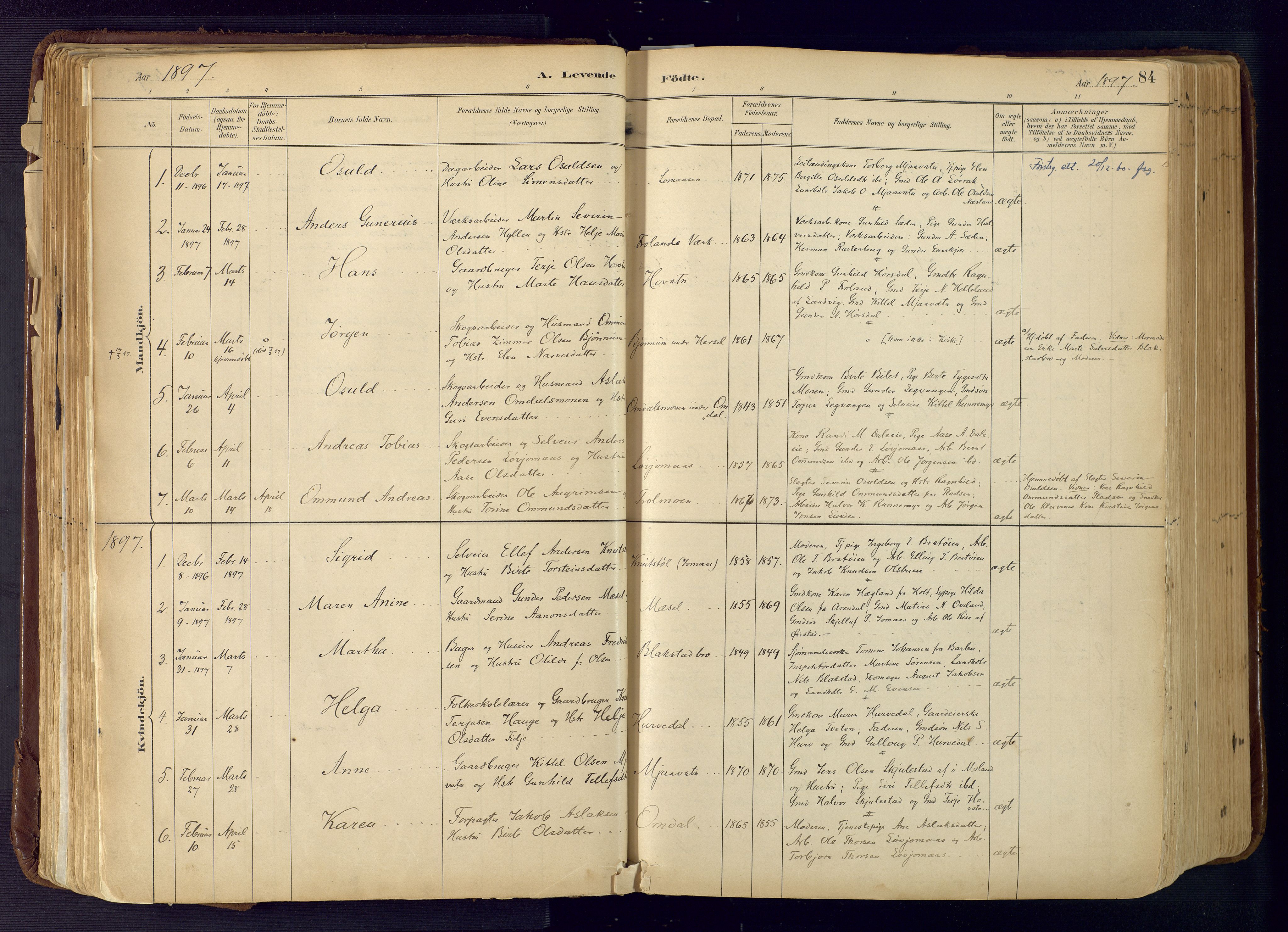 Froland sokneprestkontor, SAK/1111-0013/F/Fa/L0005: Parish register (official) no. A 5, 1882-1921, p. 84