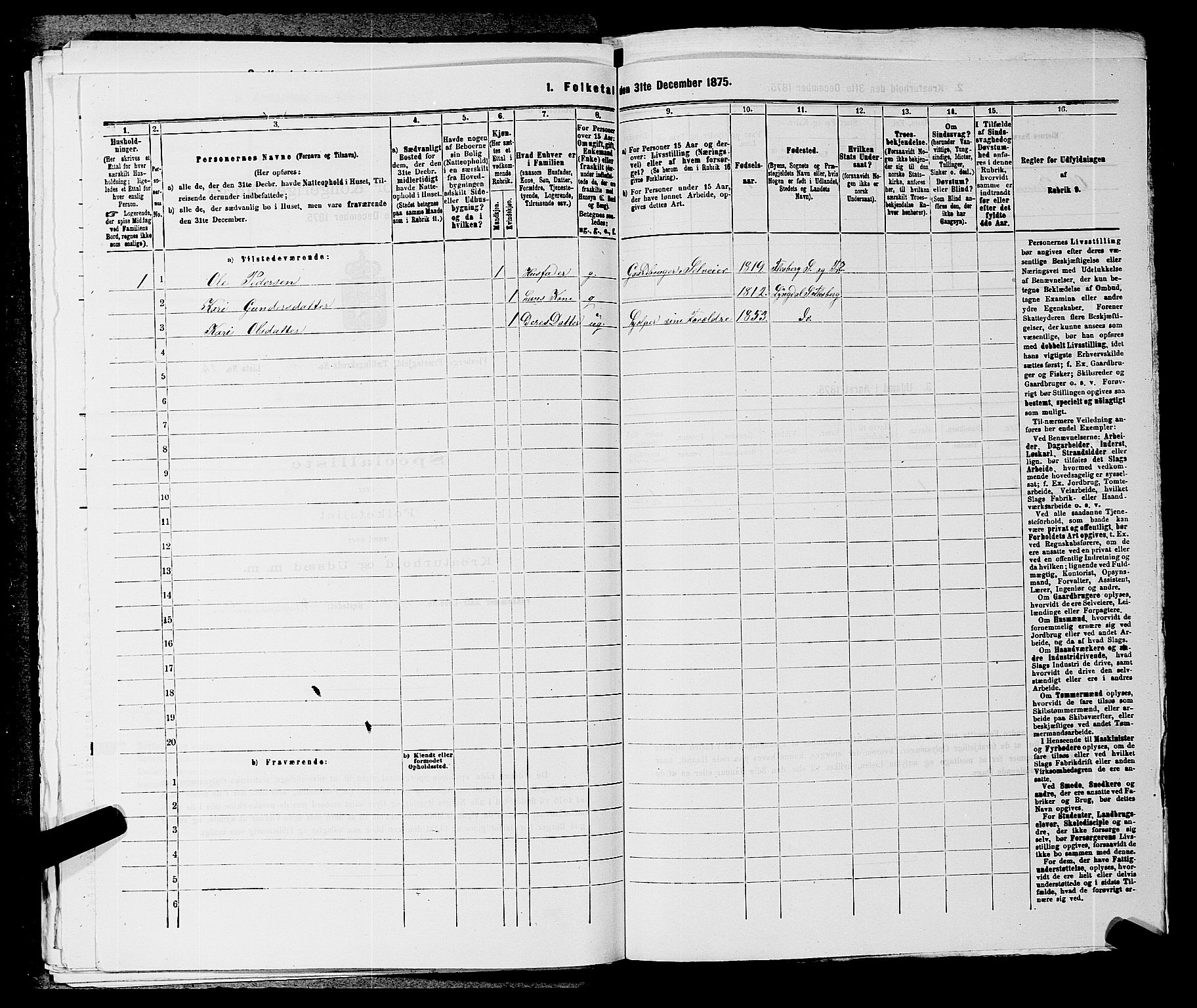 SAKO, 1875 census for 0631P Flesberg, 1875, p. 529