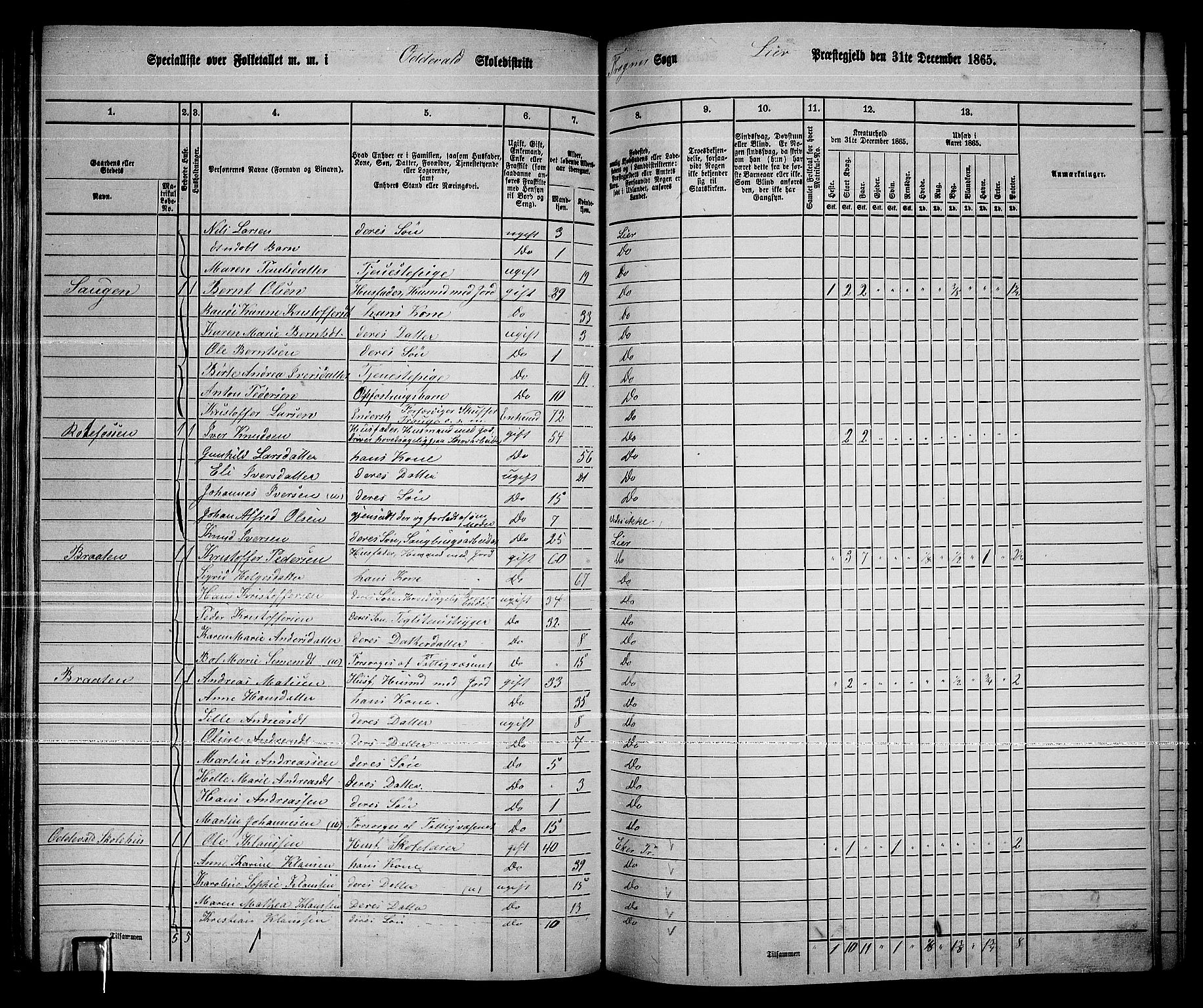 RA, 1865 census for Lier, 1865, p. 115