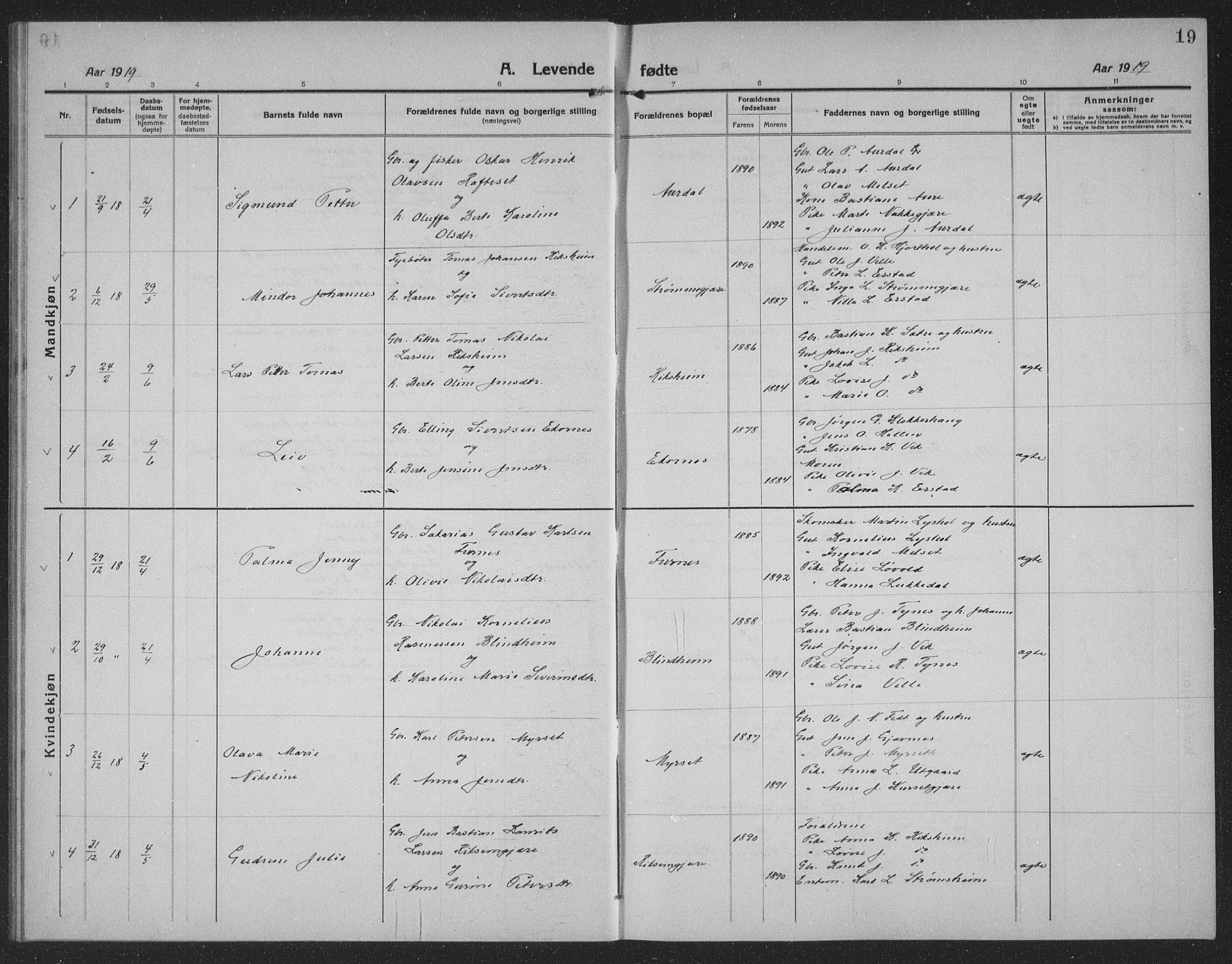 Ministerialprotokoller, klokkerbøker og fødselsregistre - Møre og Romsdal, SAT/A-1454/523/L0342: Parish register (copy) no. 523C05, 1916-1937, p. 19