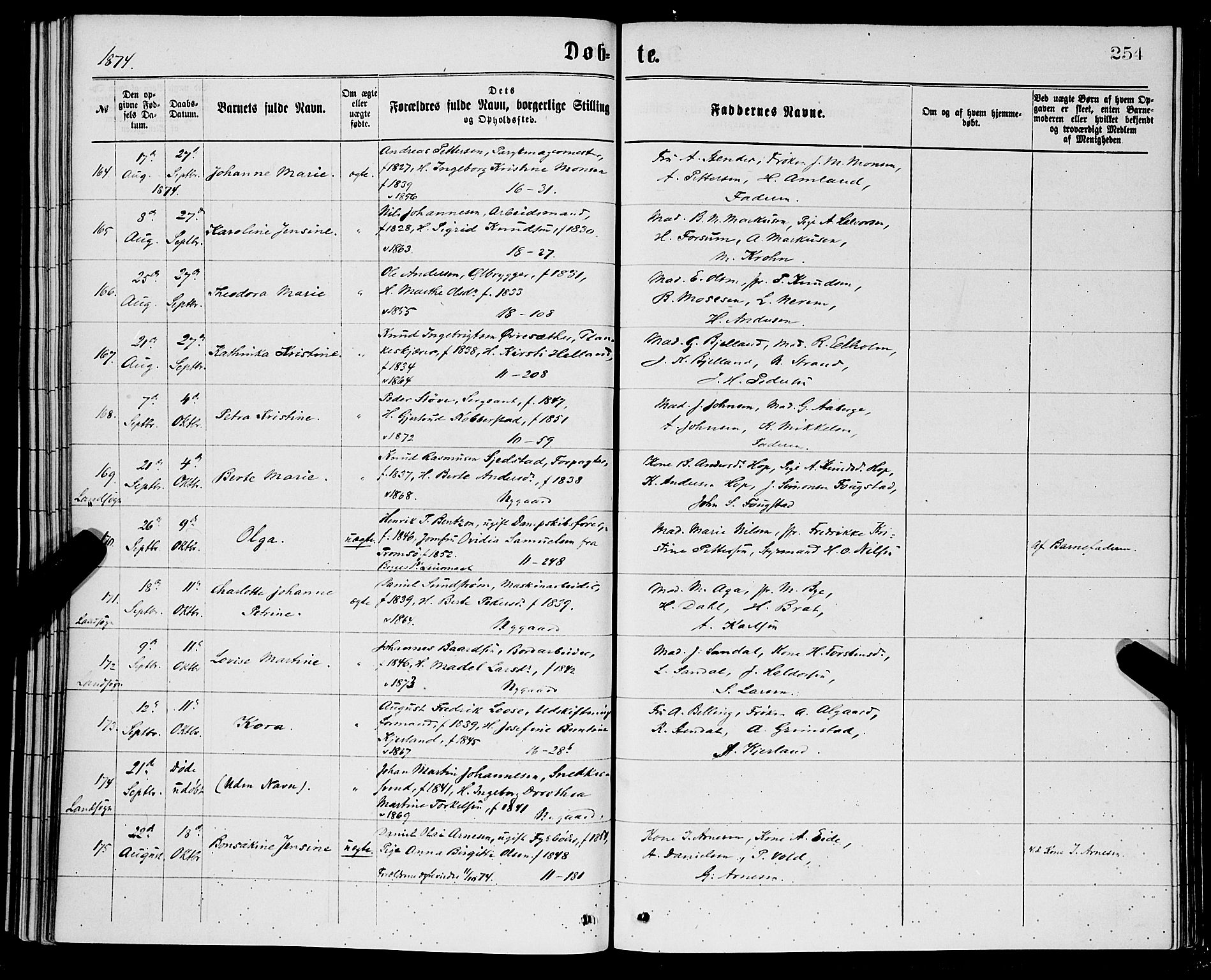 Domkirken sokneprestembete, SAB/A-74801/H/Hab/L0013: Parish register (copy) no. B 6, 1869-1876, p. 254