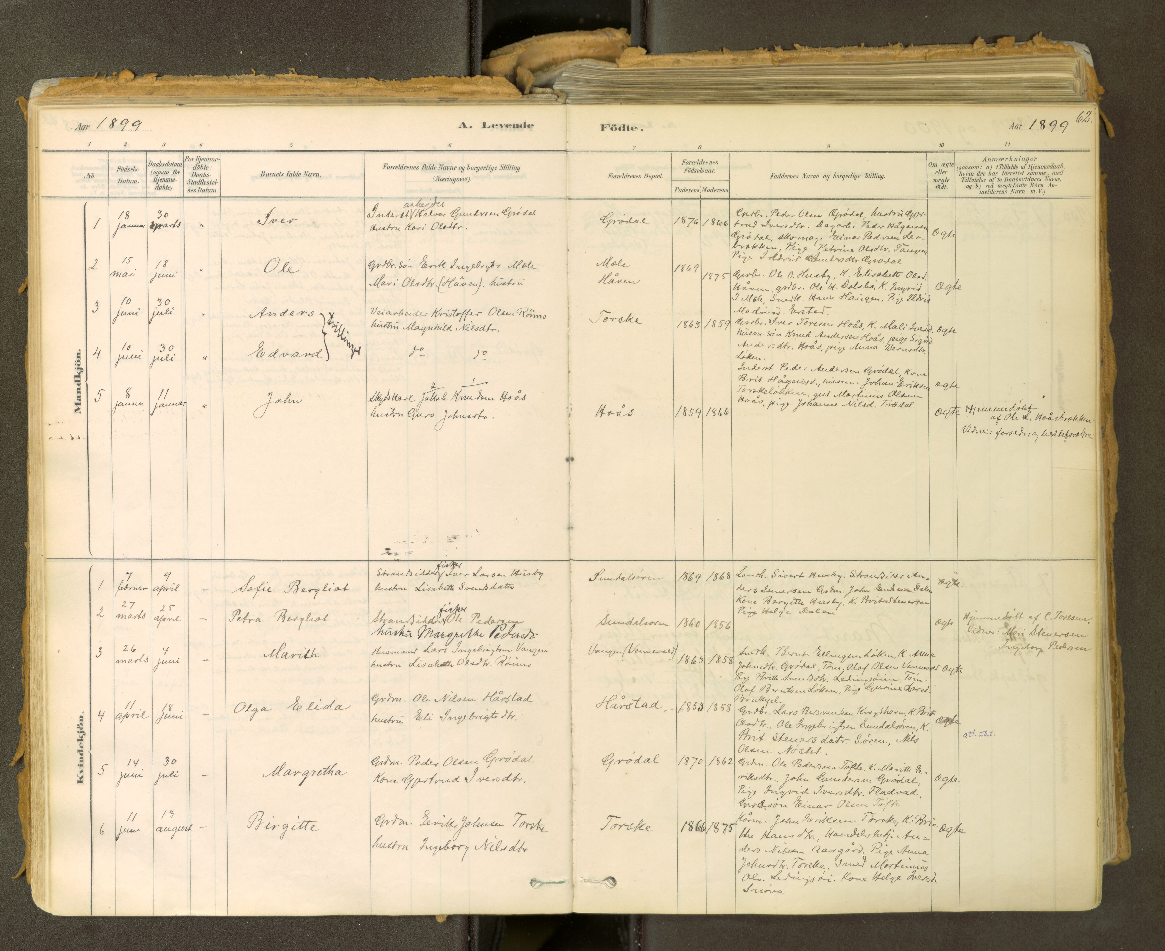 Sunndal sokneprestkontor, SAT/A-1085/1/I/I1/I1a: Parish register (official) no. 2, 1877-1914, p. 62