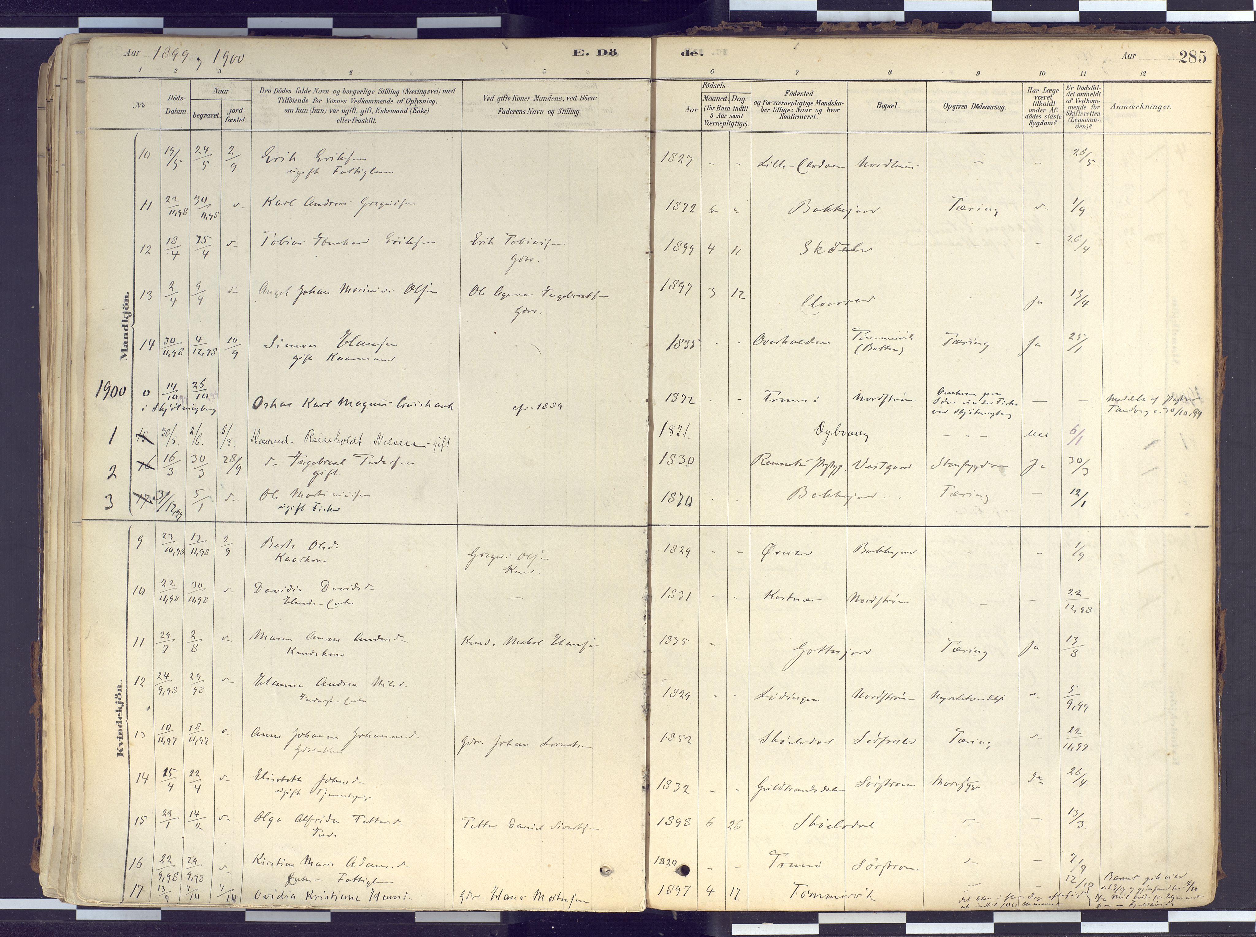 Tranøy sokneprestkontor, SATØ/S-1313/I/Ia/Iaa/L0010kirke: Parish register (official) no. 10, 1878-1904, p. 285
