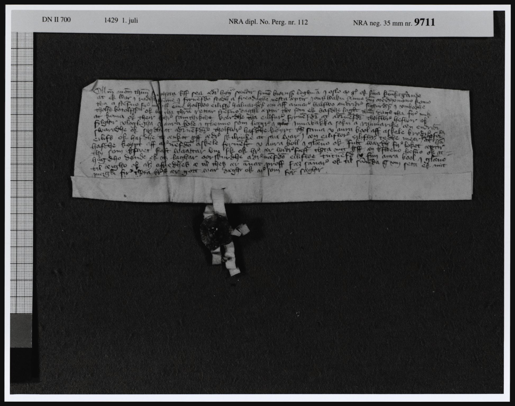 Riksarkivets diplomsamling, AV/RA-EA-5965/F08, 1224-1564, p. 253