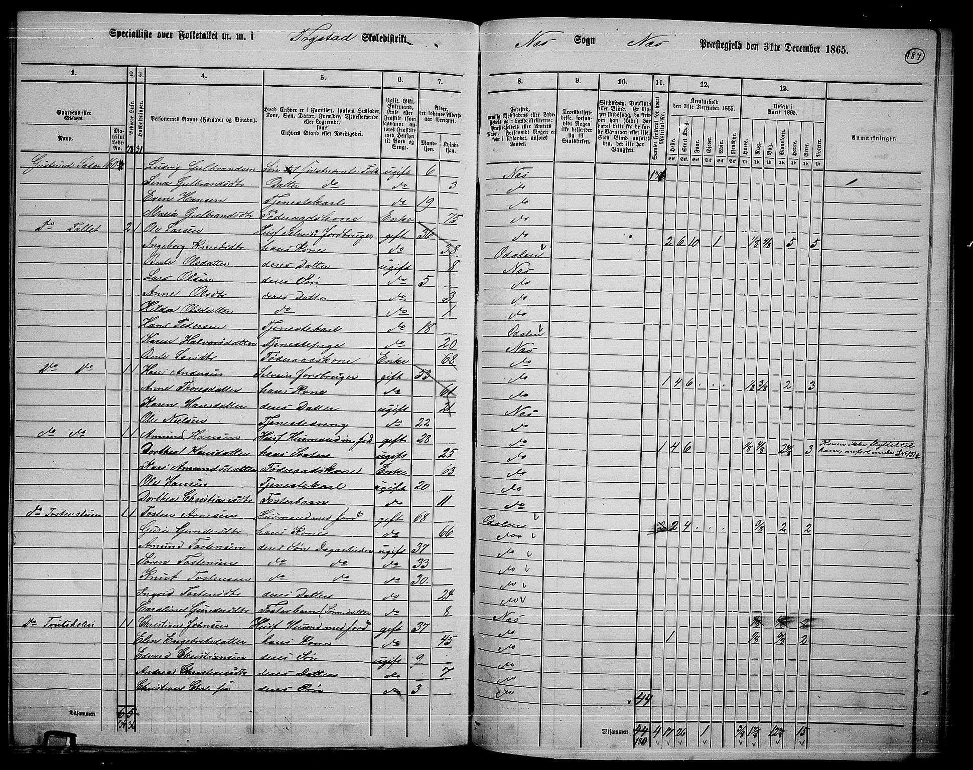 RA, 1865 census for Nes, 1865, p. 170