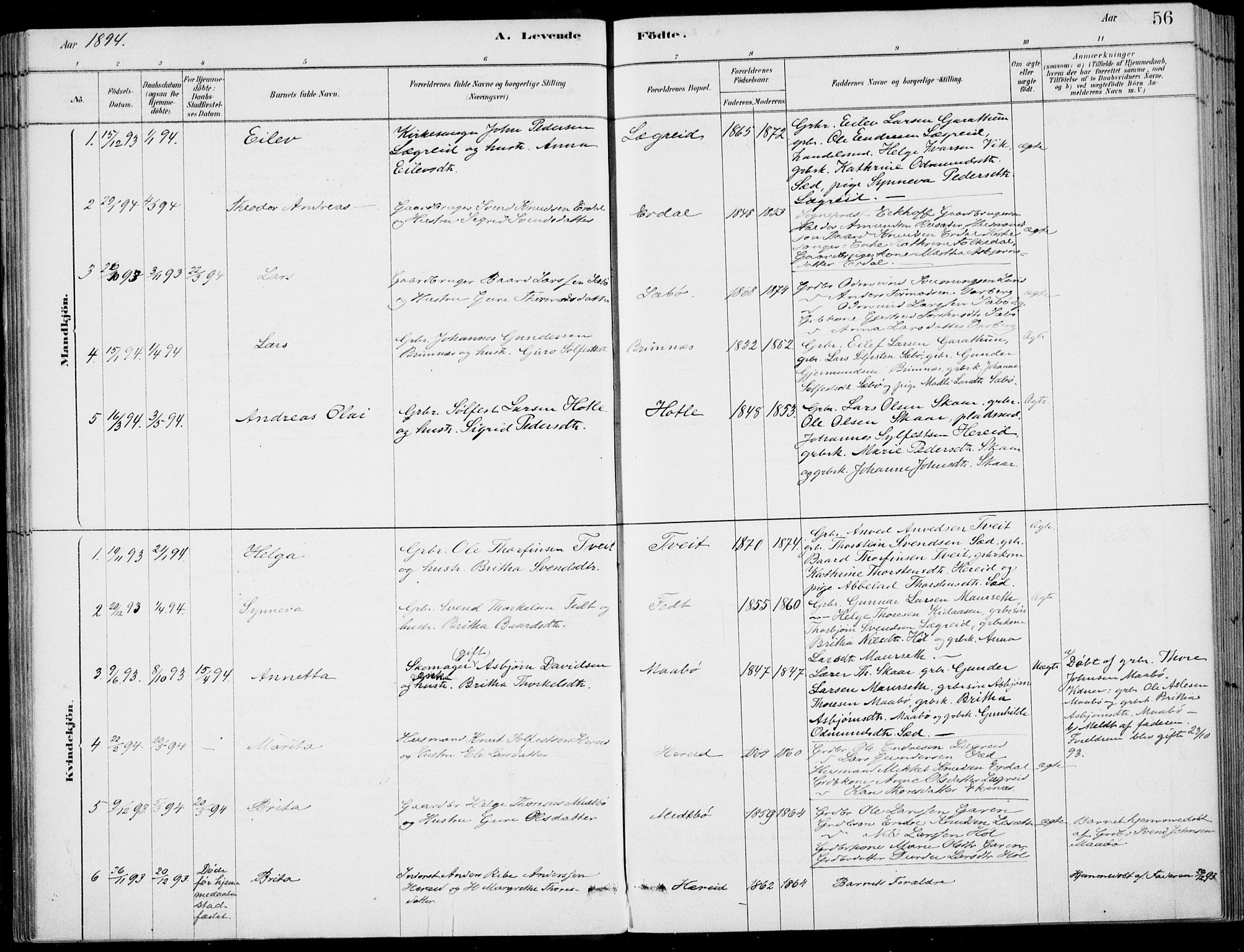 Ulvik sokneprestembete, SAB/A-78801/H/Haa: Parish register (official) no. D  1, 1878-1903, p. 56