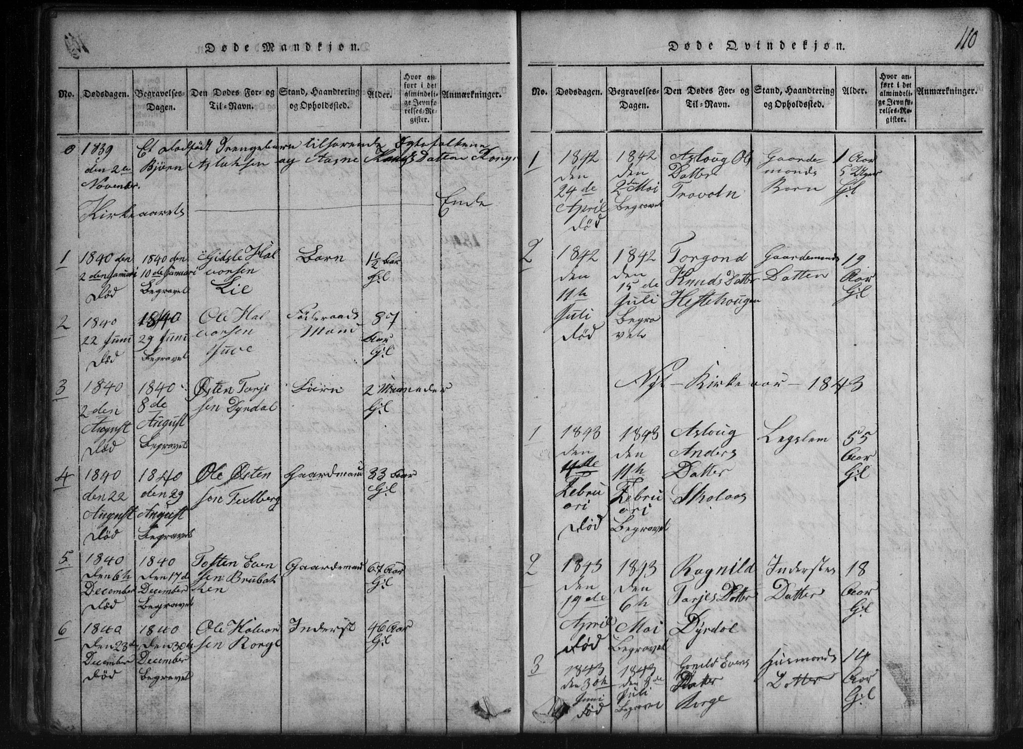 Rauland kirkebøker, SAKO/A-292/G/Gb/L0001: Parish register (copy) no. II 1, 1815-1886, p. 110