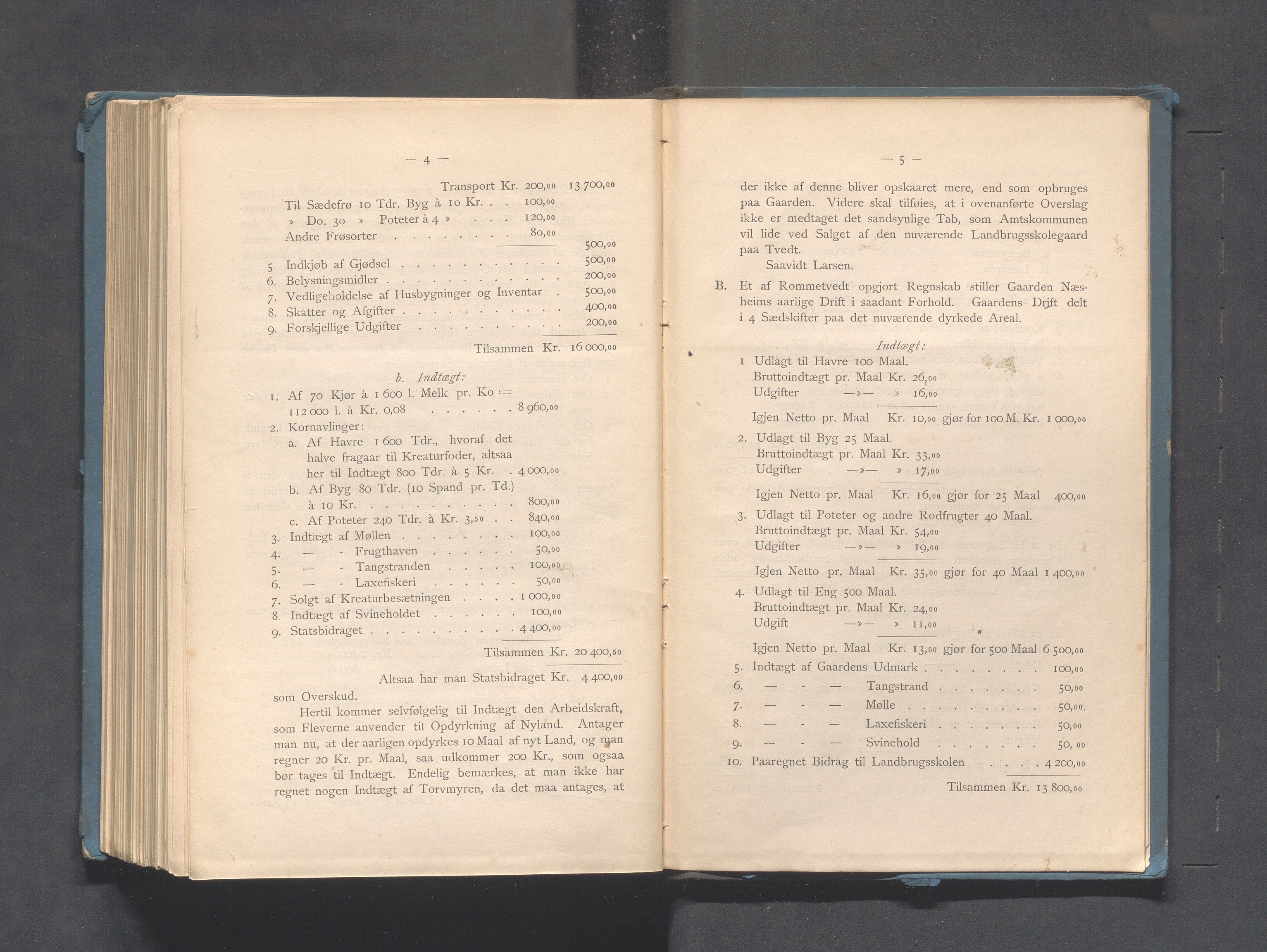 Rogaland fylkeskommune - Fylkesrådmannen , IKAR/A-900/A, 1888, p. 402