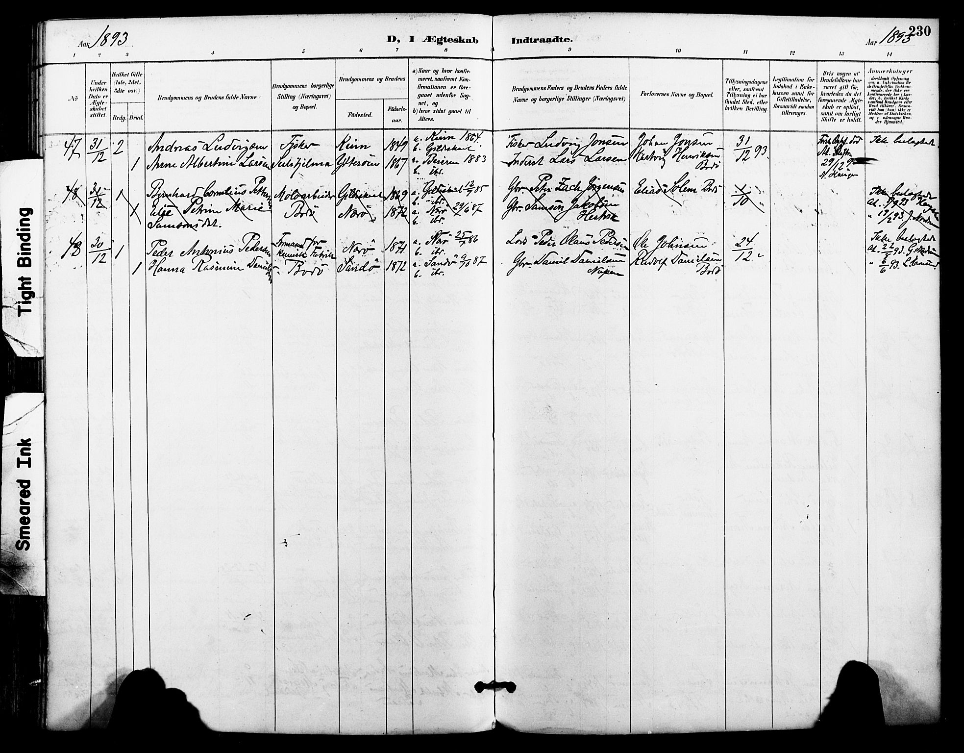 Ministerialprotokoller, klokkerbøker og fødselsregistre - Nordland, AV/SAT-A-1459/801/L0010: Parish register (official) no. 801A10, 1888-1899, p. 230