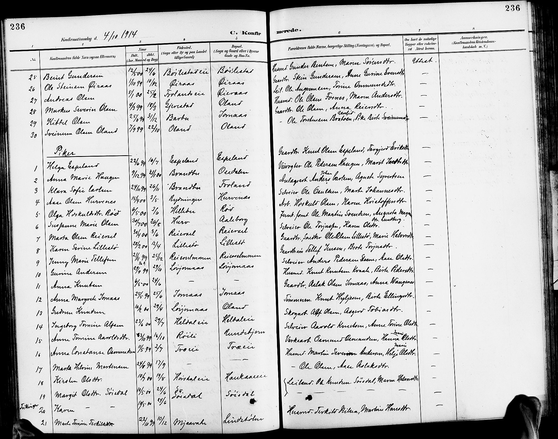 Froland sokneprestkontor, SAK/1111-0013/F/Fb/L0010: Parish register (copy) no. B 10, 1893-1920, p. 236