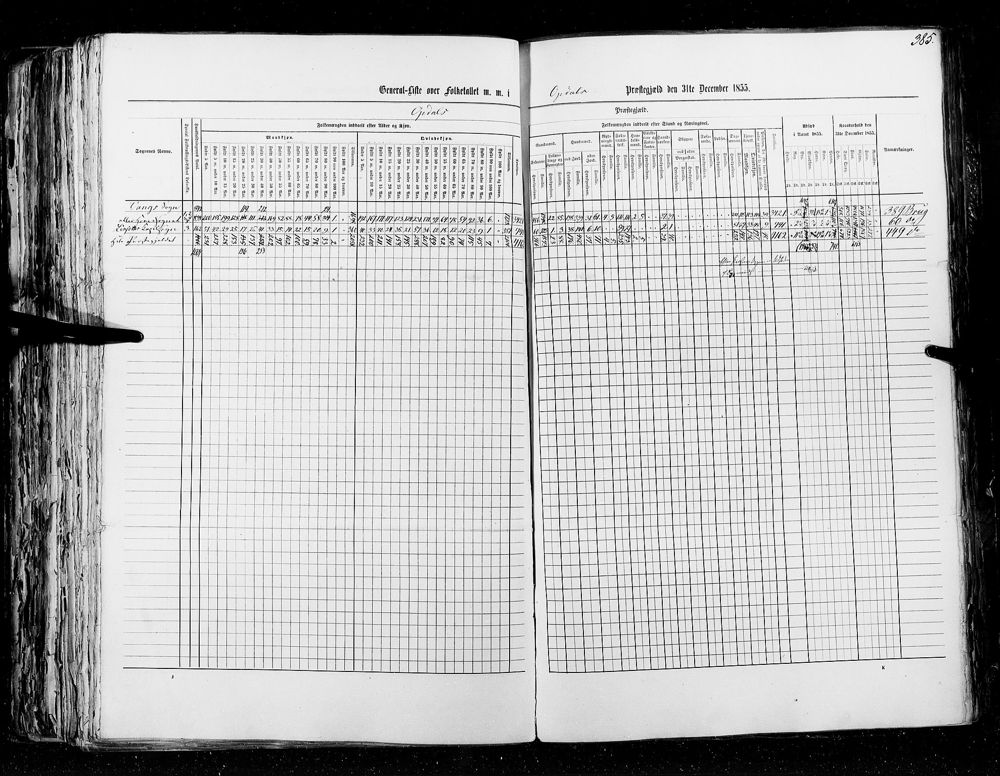 RA, Census 1855, vol. 5: Nordre Bergenhus amt, Romsdal amt og Søndre Trondhjem amt, 1855, p. 385