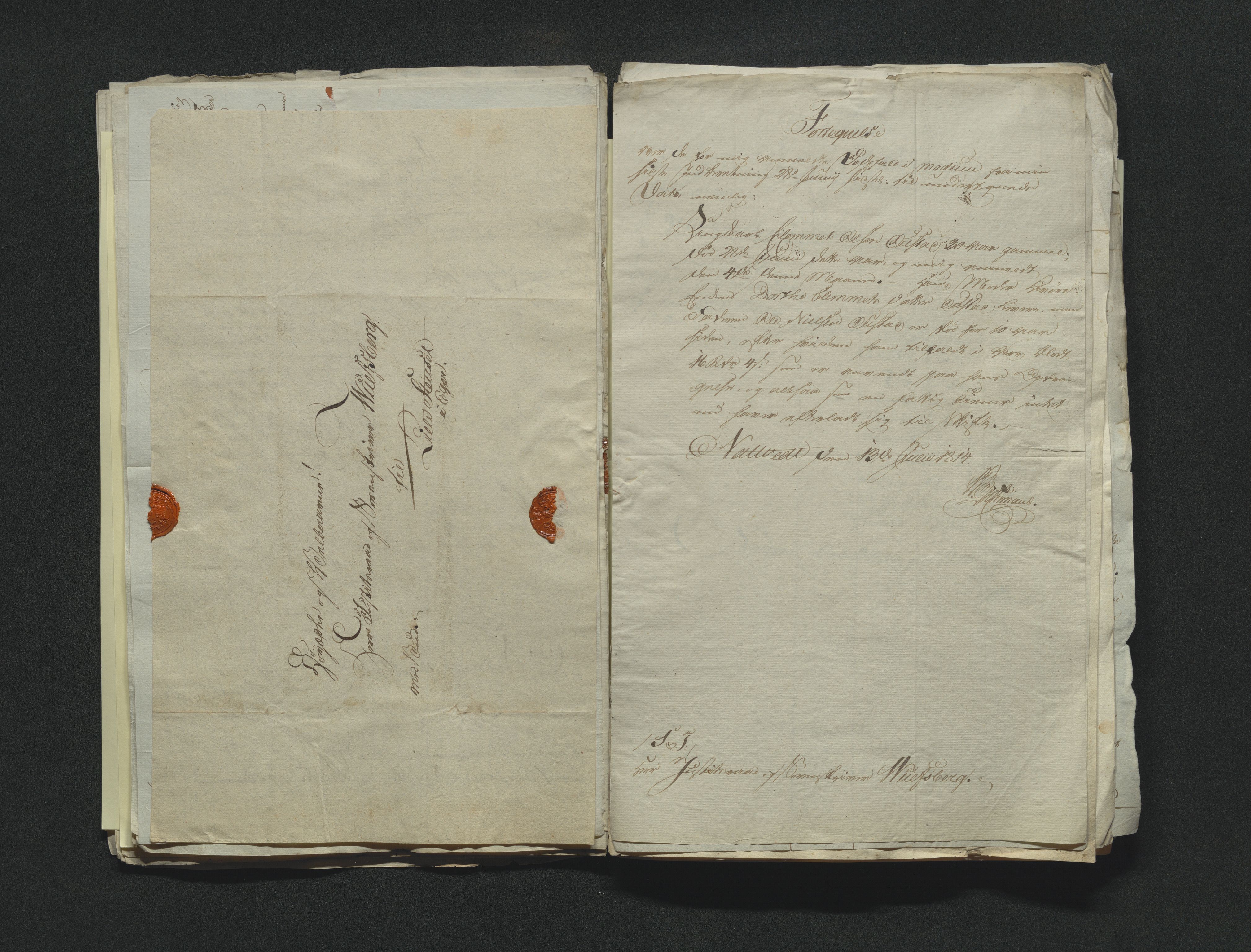 Eiker, Modum og Sigdal sorenskriveri, AV/SAKO-A-123/H/Ha/Hab/L0001: Dødsfallsmeldinger, 1812-1822, p. 66
