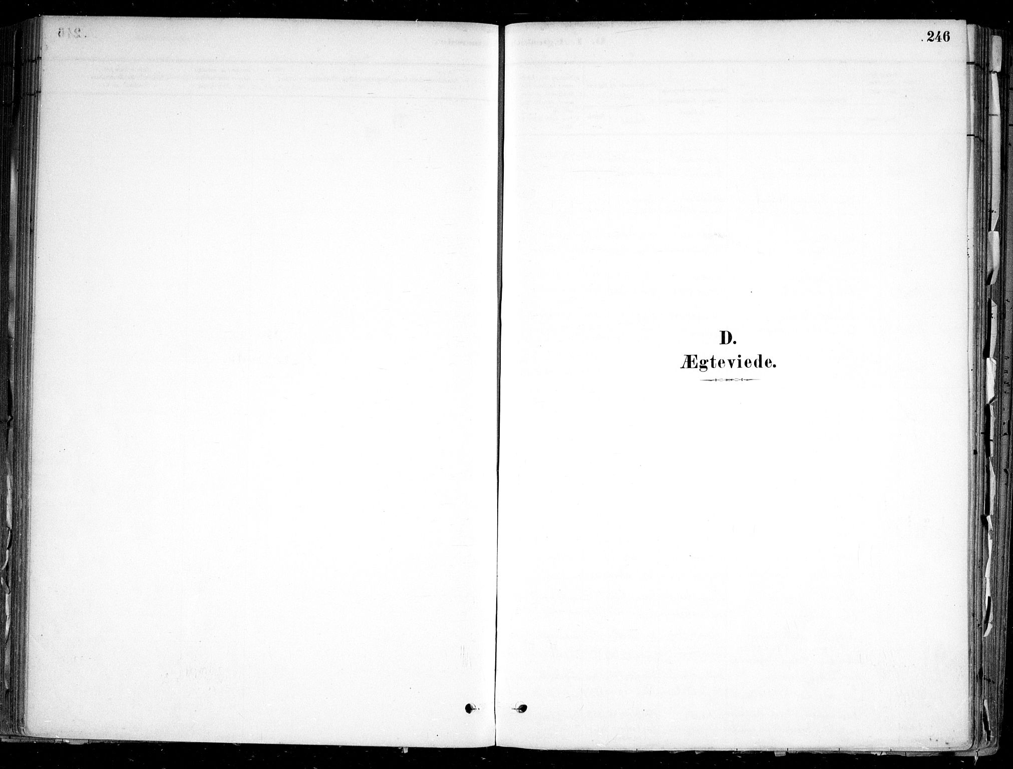 Nesodden prestekontor Kirkebøker, SAO/A-10013/F/Fa/L0009: Parish register (official) no. I 9, 1880-1915, p. 246