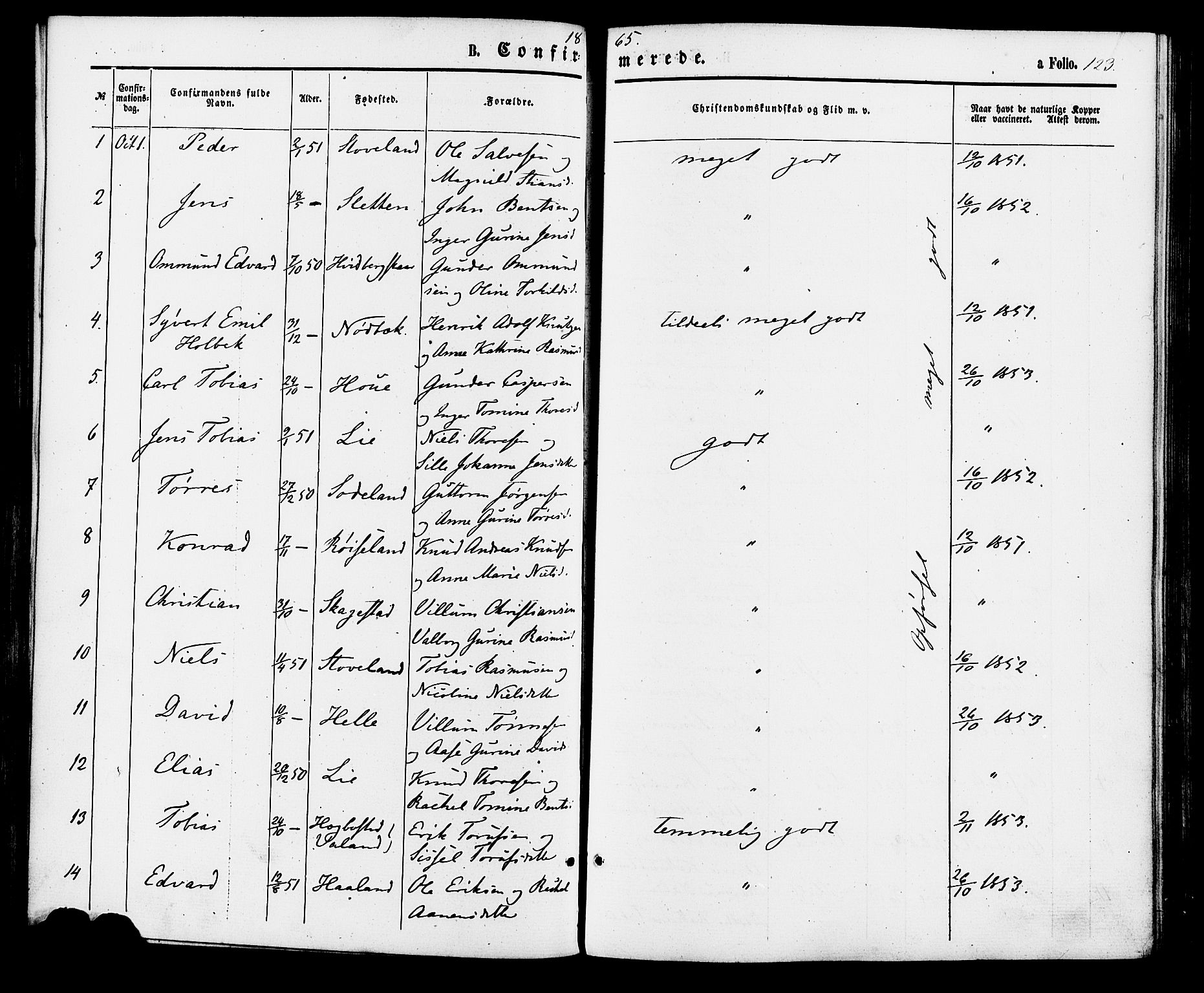 Holum sokneprestkontor, SAK/1111-0022/F/Fa/Faa/L0006: Parish register (official) no. A 6, 1865-1883, p. 123