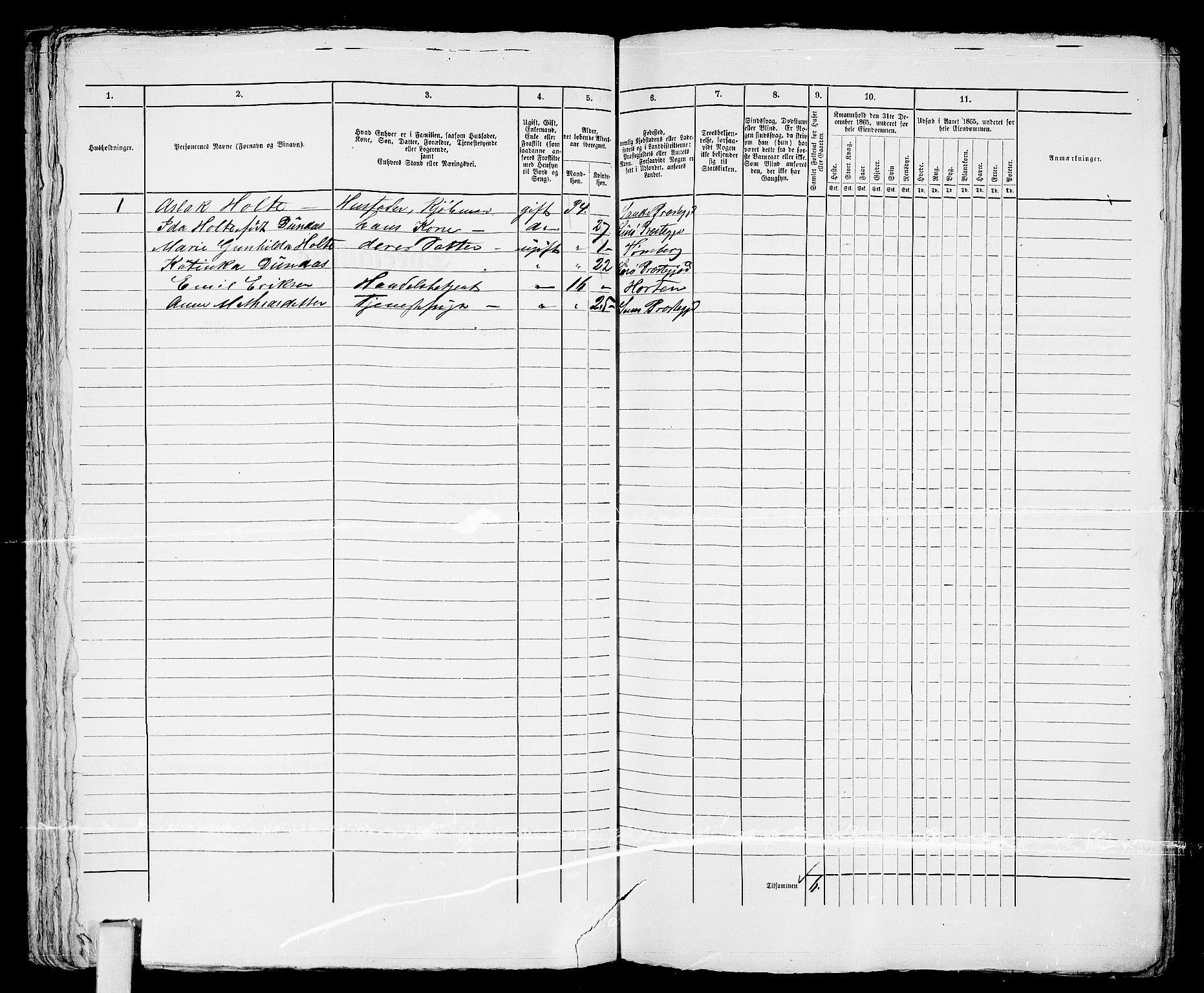 RA, 1865 census for Tønsberg, 1865, p. 221