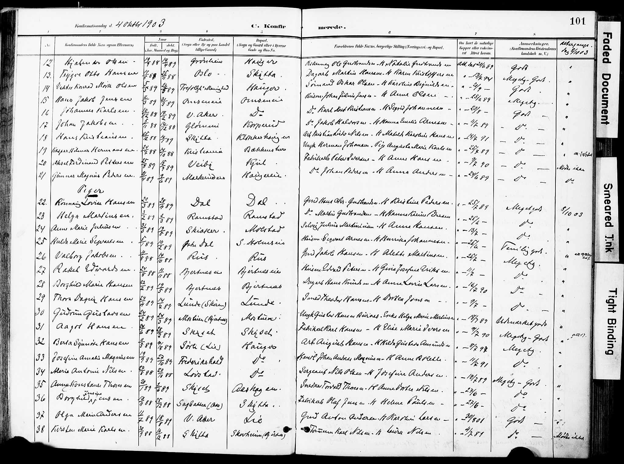 Nittedal prestekontor Kirkebøker, SAO/A-10365a/F/Fa/L0008: Parish register (official) no. I 8, 1902-1926, p. 101