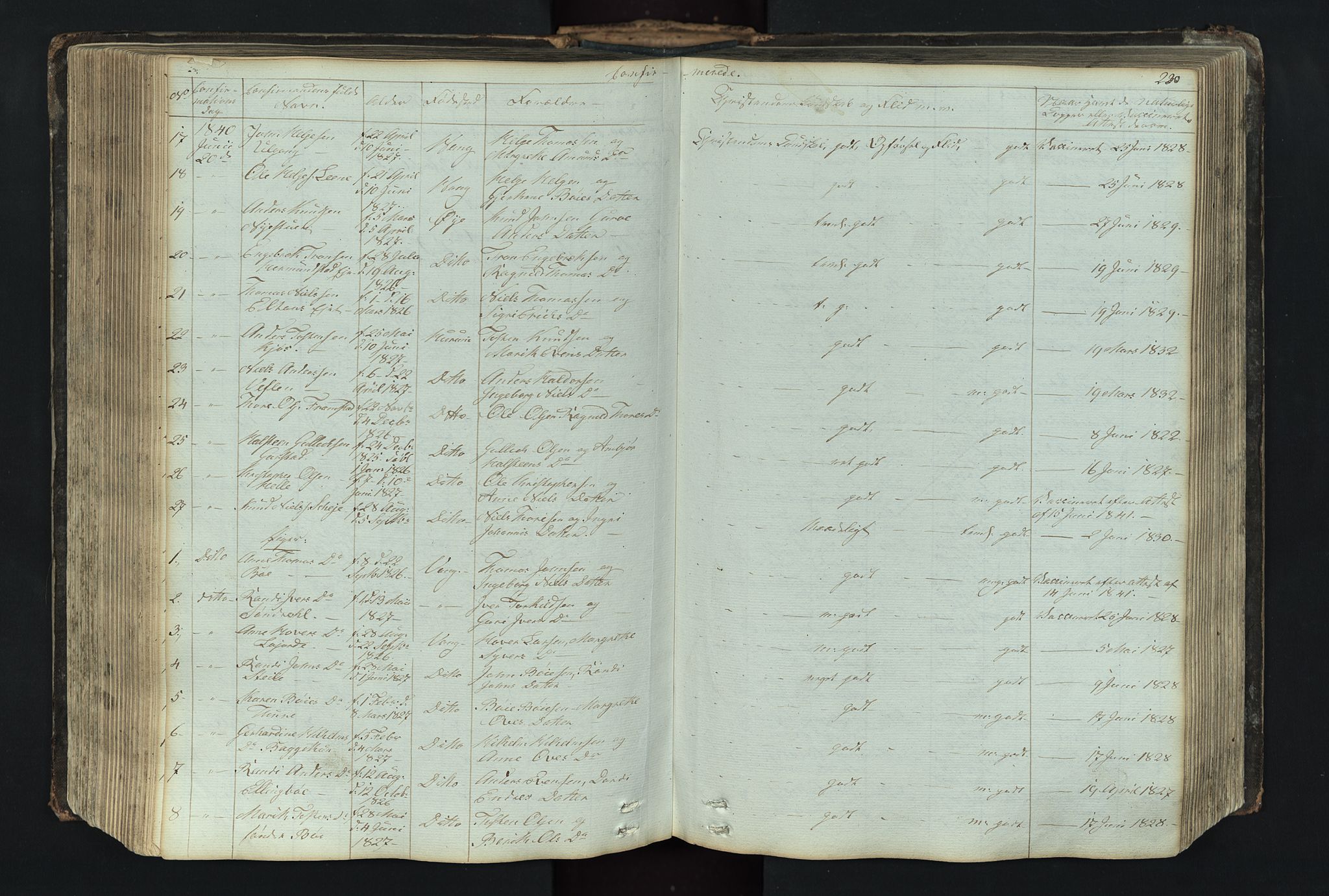 Vang prestekontor, Valdres, SAH/PREST-140/H/Hb/L0004: Parish register (copy) no. 4, 1835-1892, p. 230