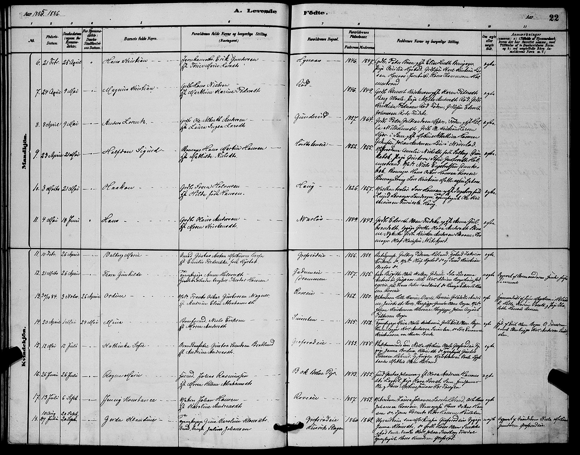 Botne kirkebøker, AV/SAKO-A-340/G/Ga/L0003: Parish register (copy) no. I 3, 1878-1898, p. 22