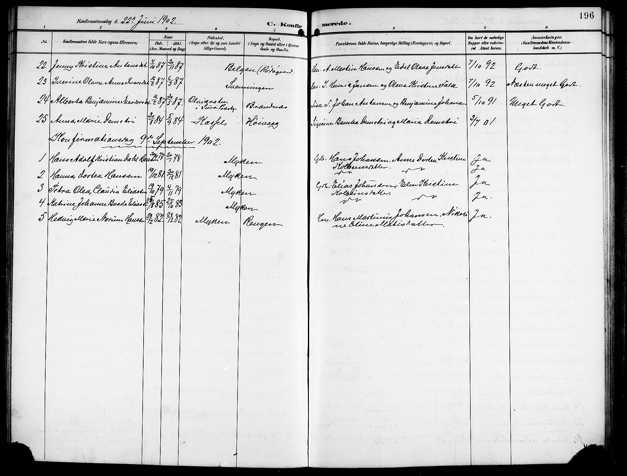 Ministerialprotokoller, klokkerbøker og fødselsregistre - Nordland, AV/SAT-A-1459/841/L0621: Parish register (copy) no. 841C05, 1897-1923, p. 196