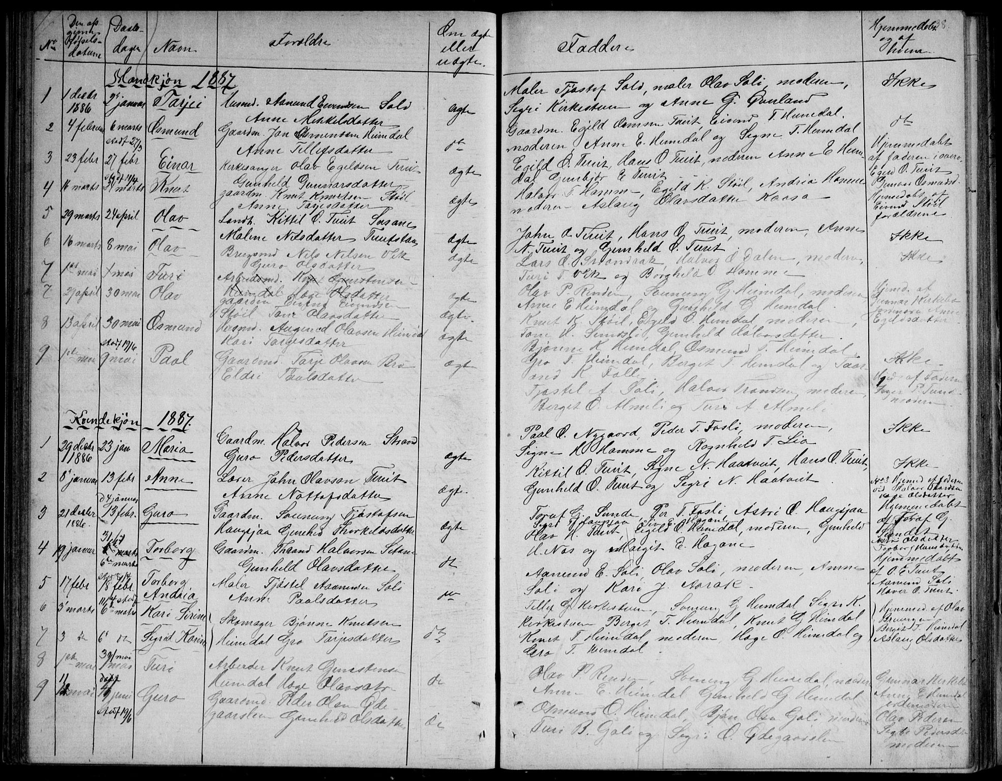 Nissedal kirkebøker, SAKO/A-288/G/Gb/L0002: Parish register (copy) no. II 2, 1863-1892, p. 38