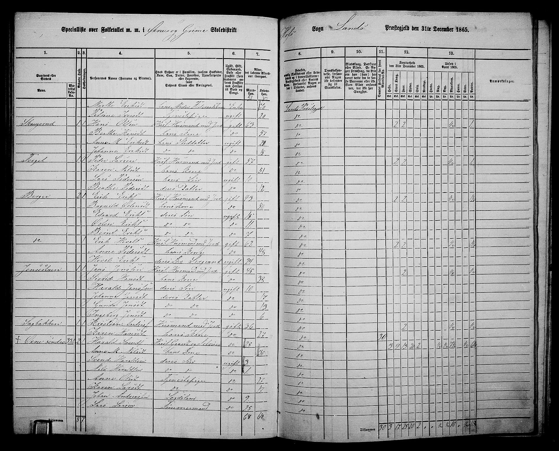 RA, 1865 census for Land, 1865, p. 378