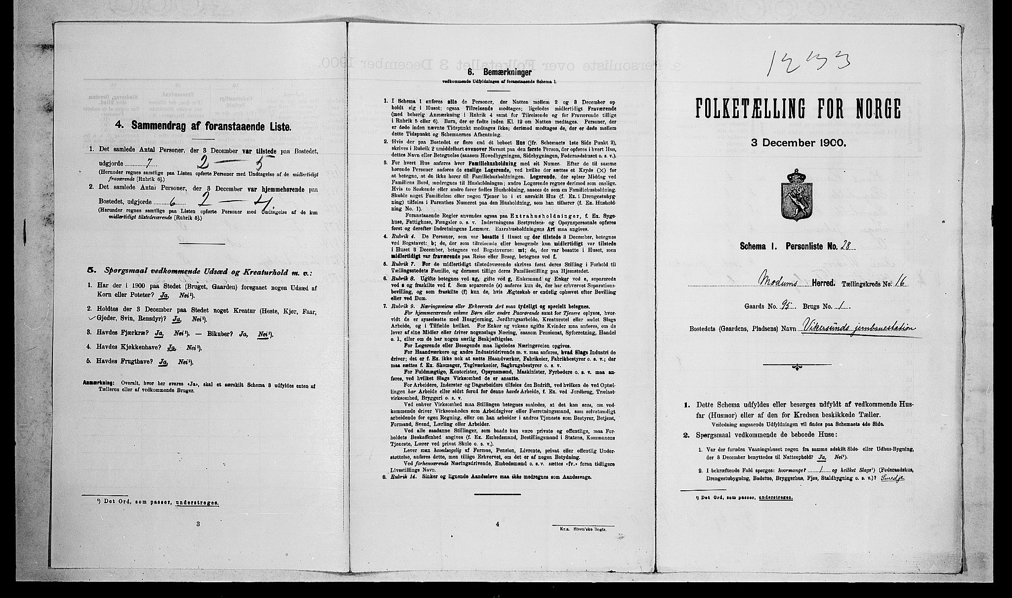 RA, 1900 census for Modum, 1900, p. 2003