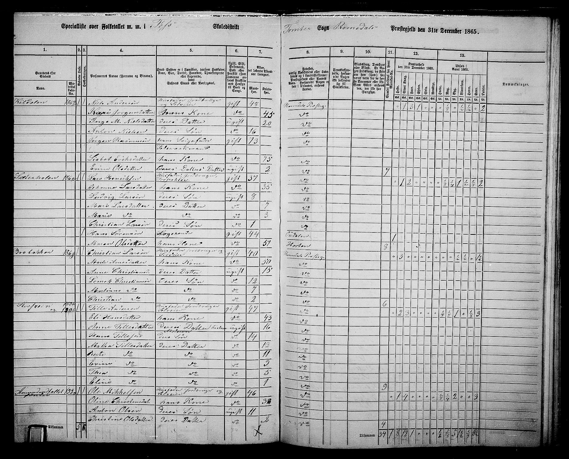 RA, 1865 census for Romedal, 1865, p. 182